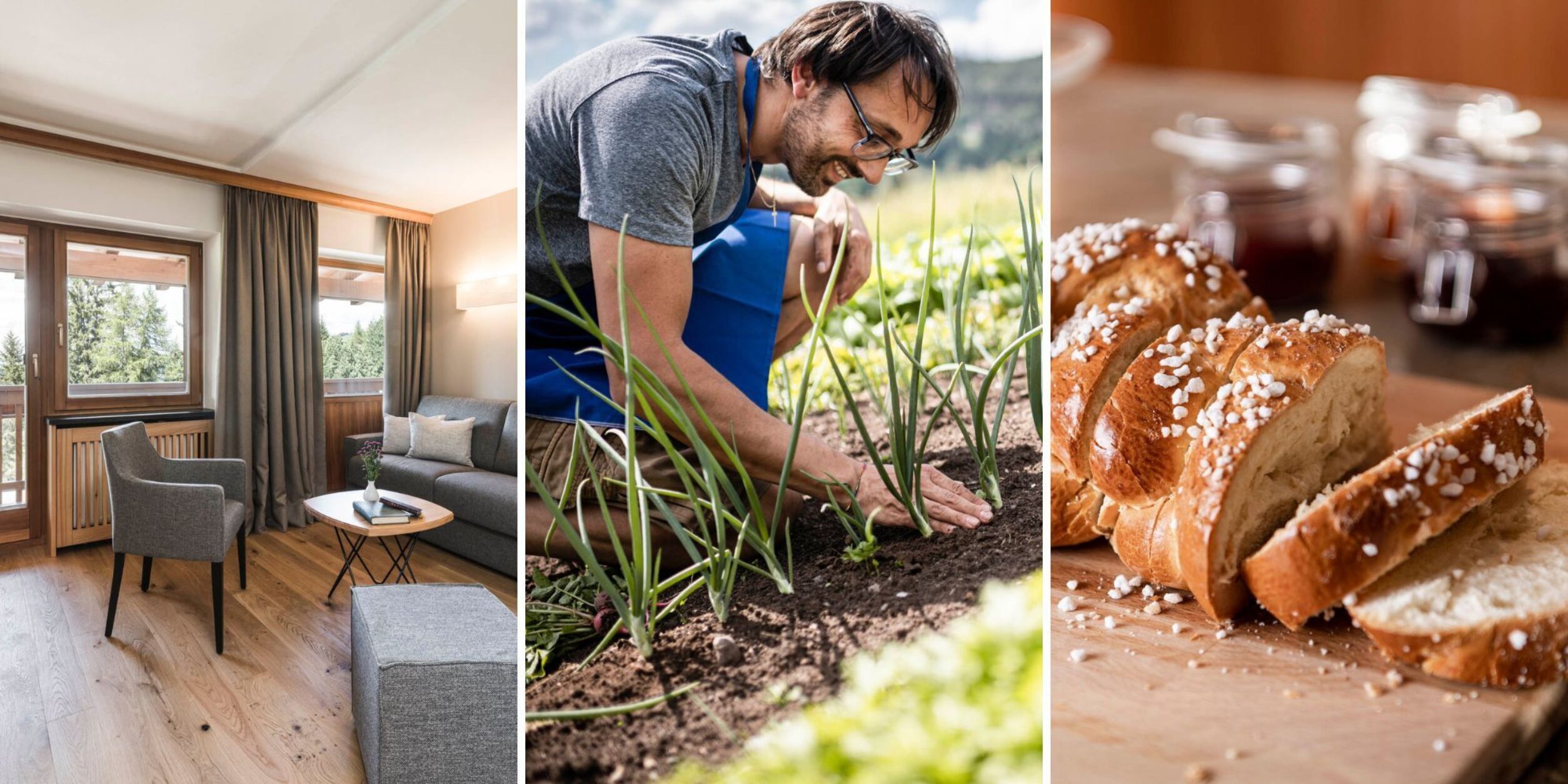 Header-Collage Steger Dellai