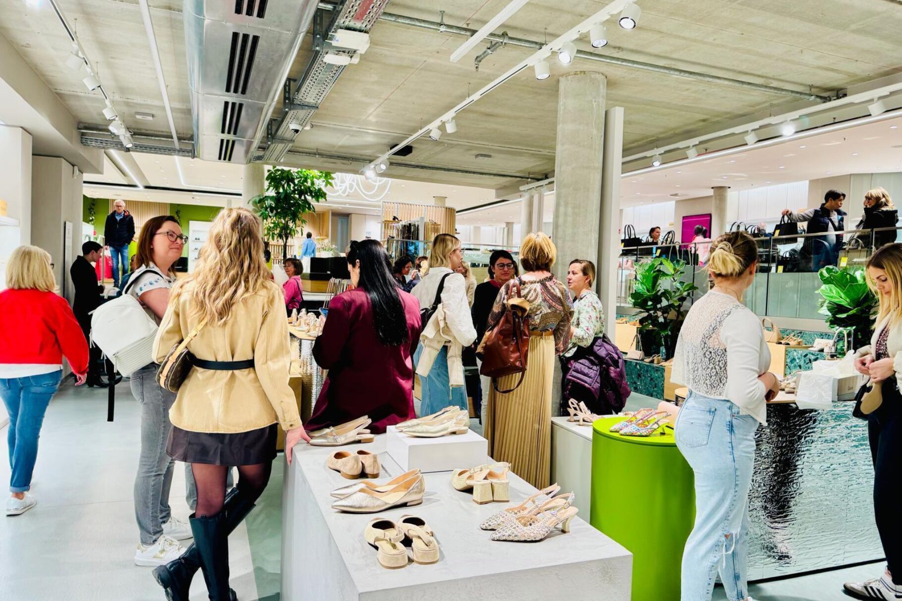 Whats App Bild 2025 03 07 um 16 55 56 6bdbd598