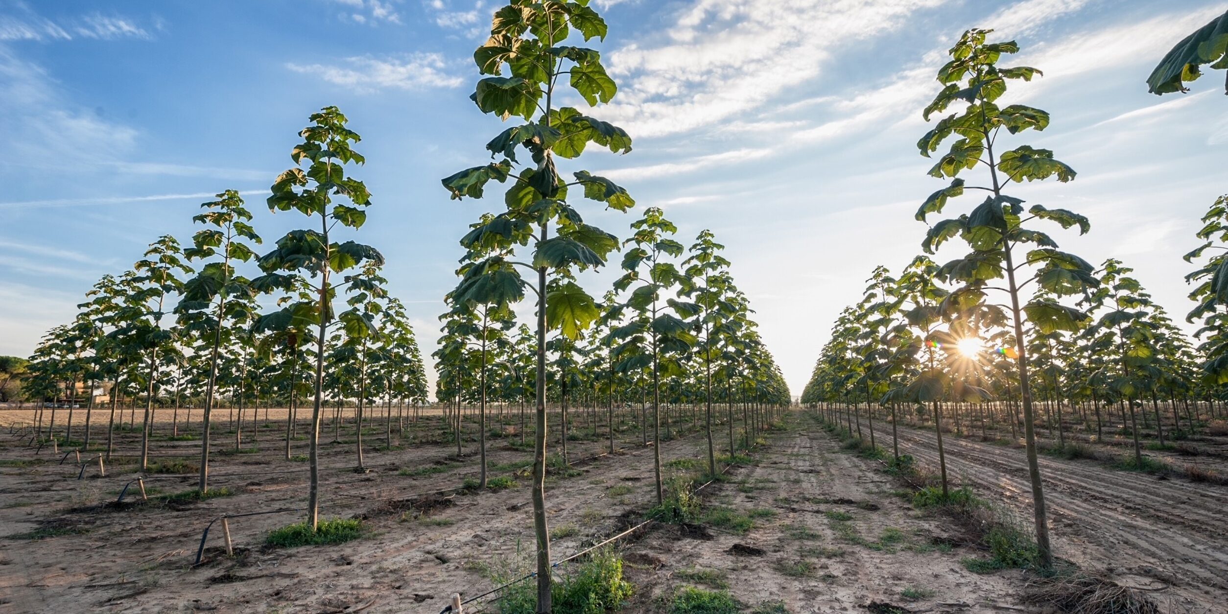 Nachhaltigkeit, die sich auszahlt