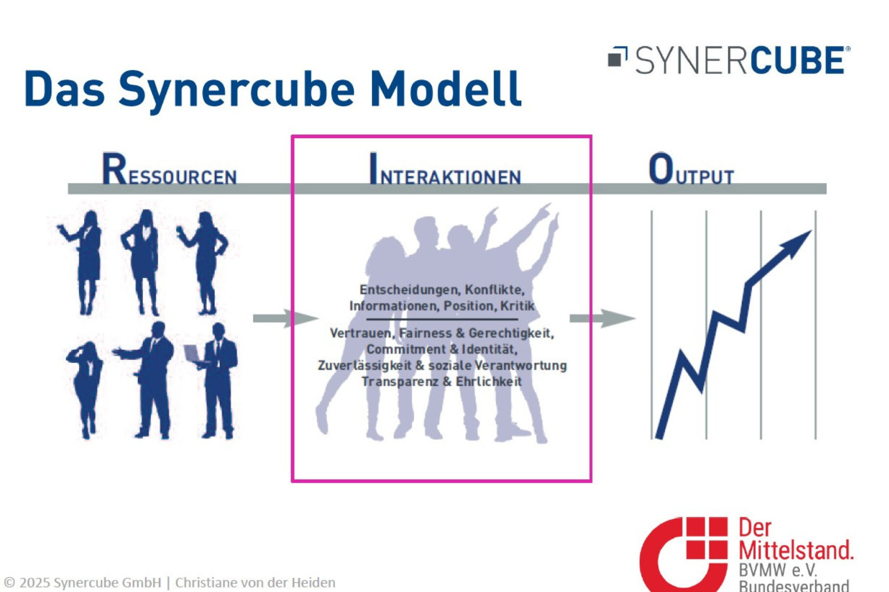 Das Synercube Modell