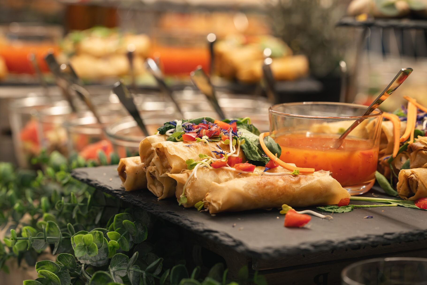 BIFI 15 J srg B Social Media 270925 296