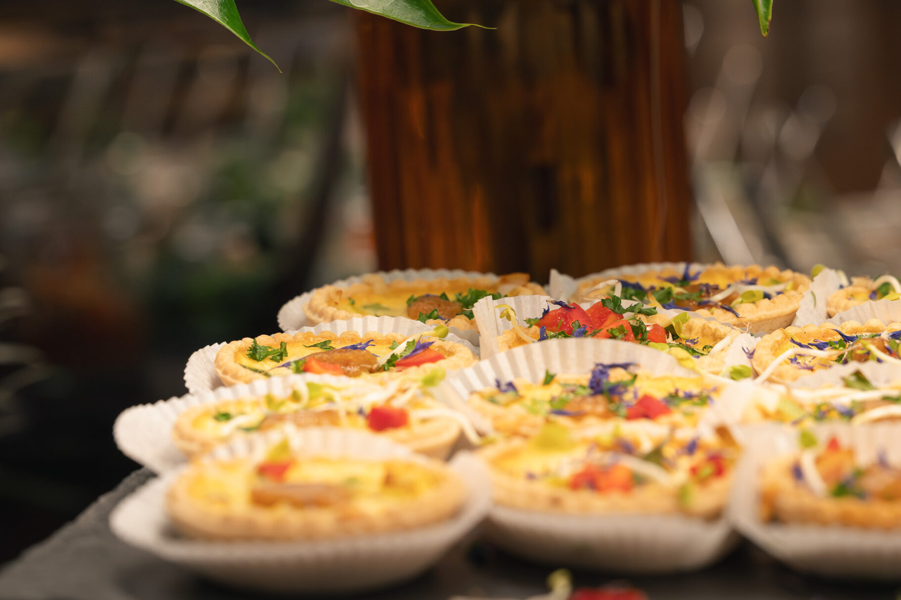 BIFI 15 J srg B Social Media 270925 297