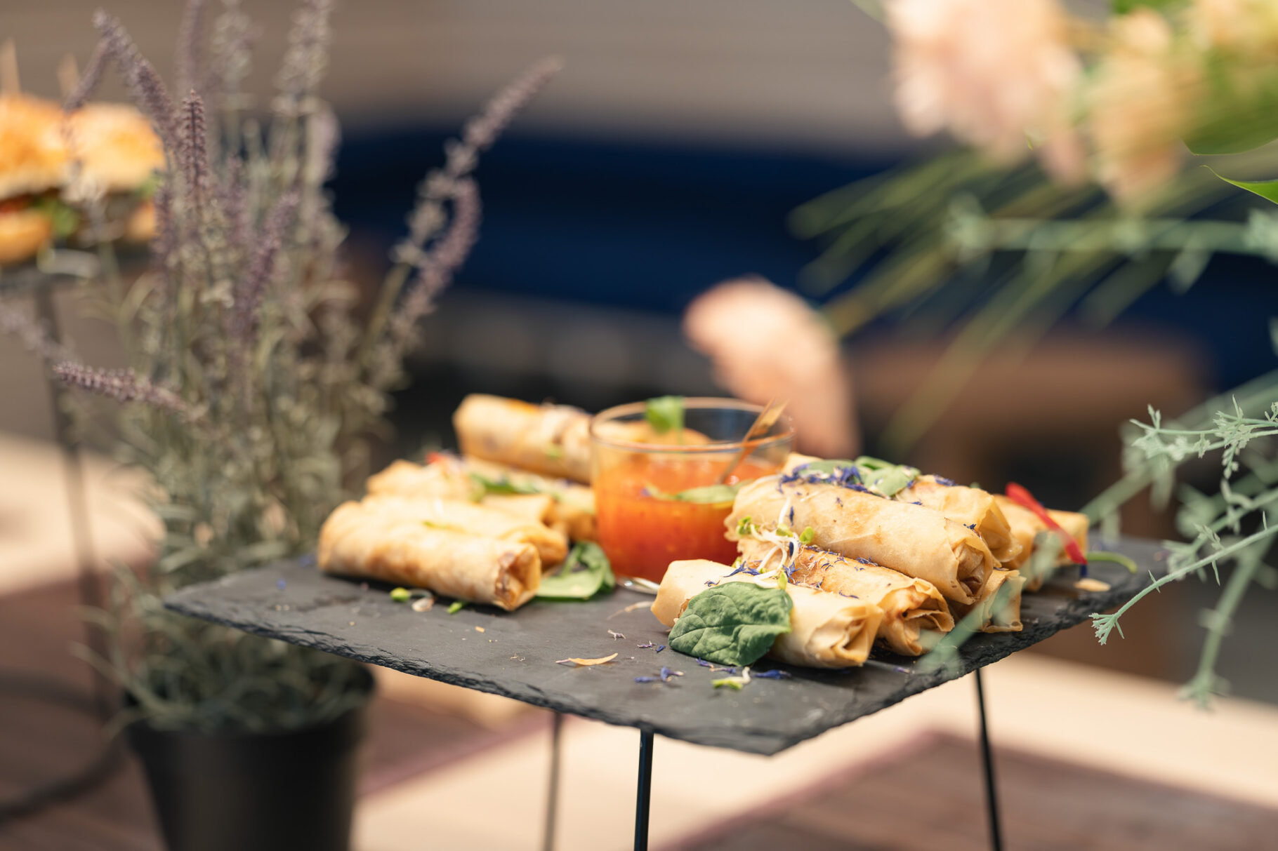 BIFI 15 J srg B Social Media 270925 037