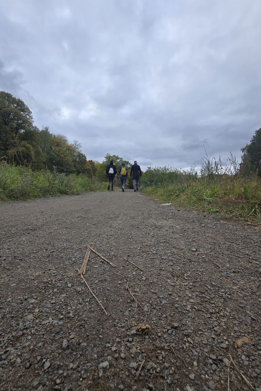 2025-1017 Coaching-Wanderung Wuhlheide