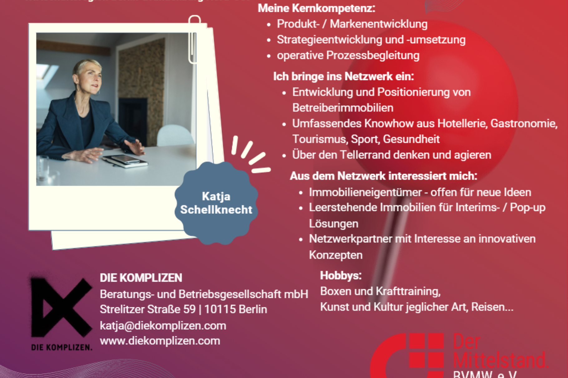 DIE KOMPLIZEN - Katja Schellknecht