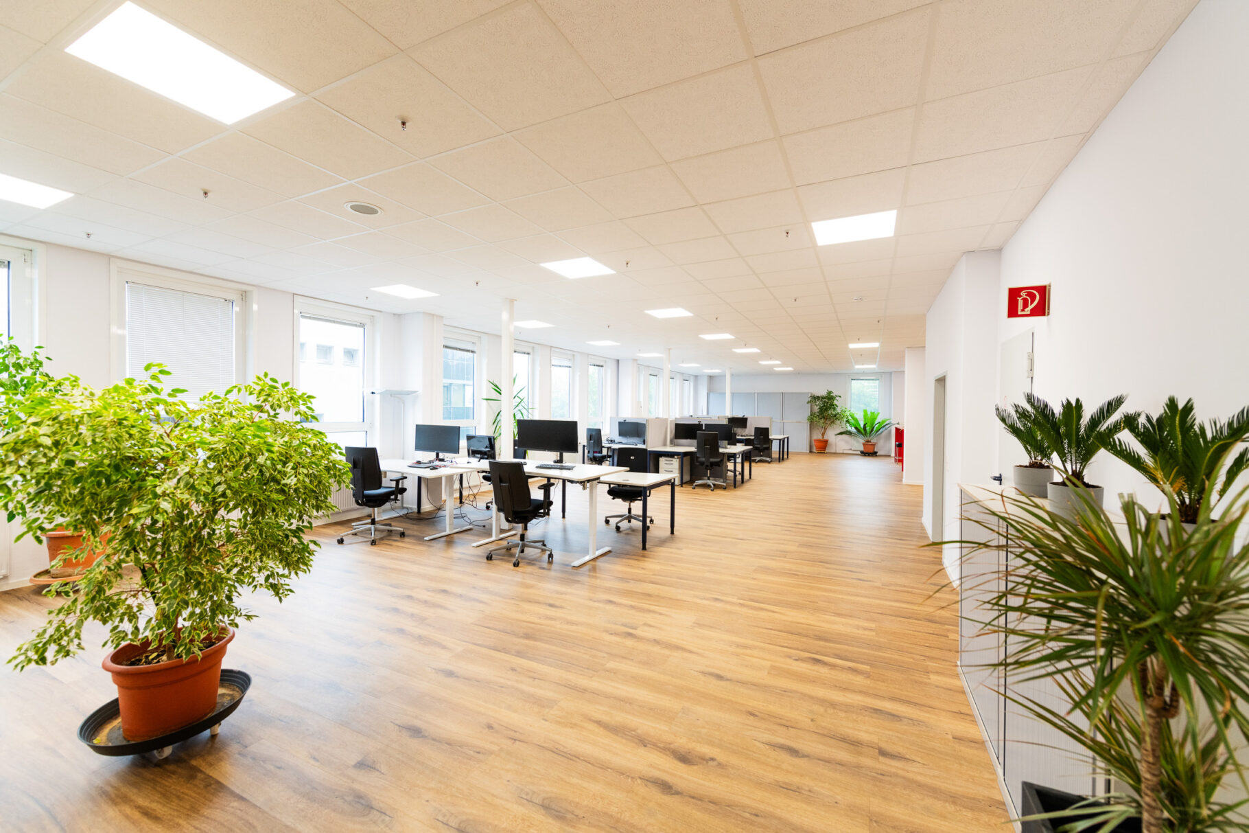 Diehl 2023 07 27 Frankfurt Mietflaeche 003 v1 web