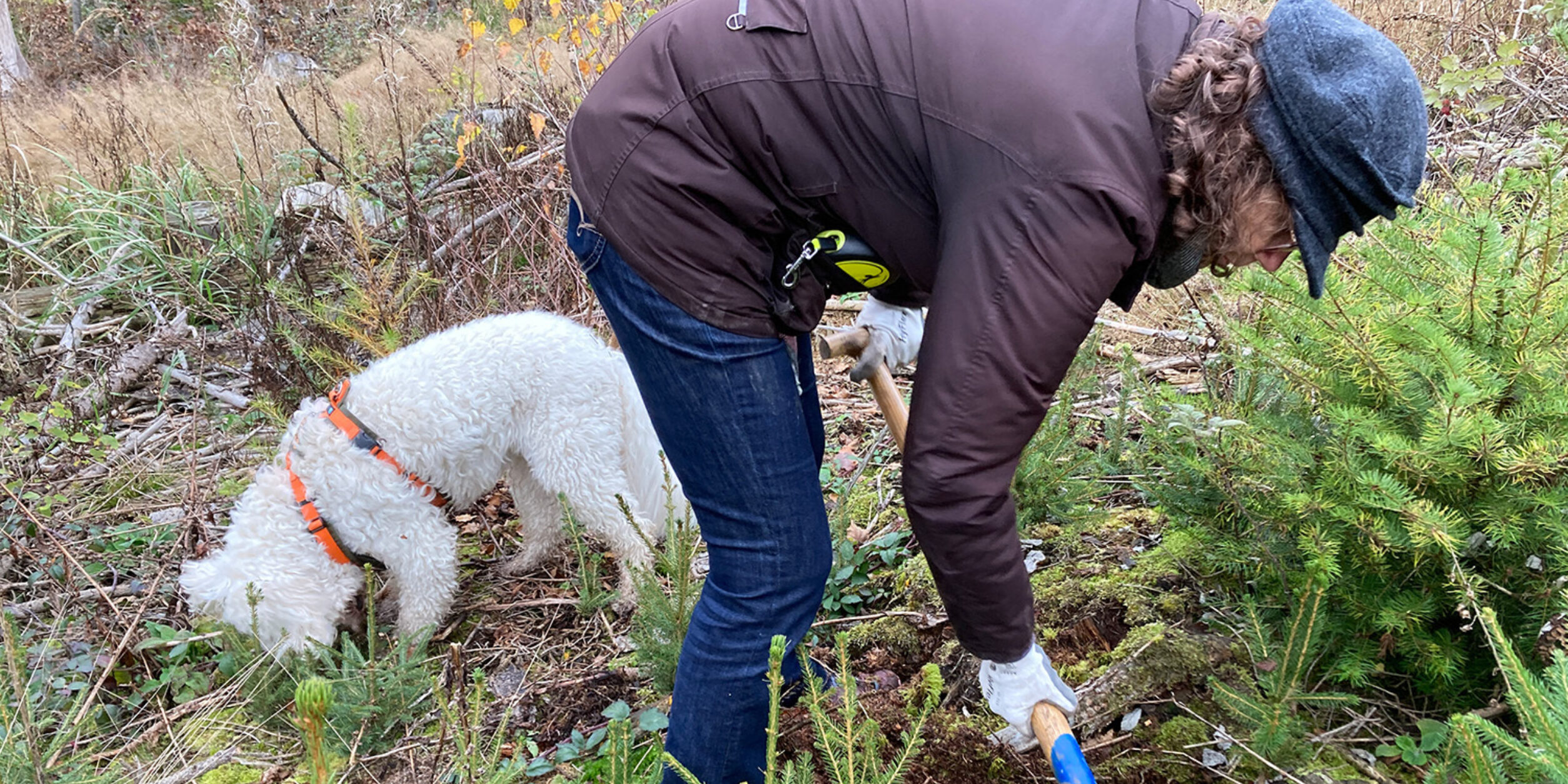 Bäume pflanzen im Zukunftswald des BVMW Rhein-Main