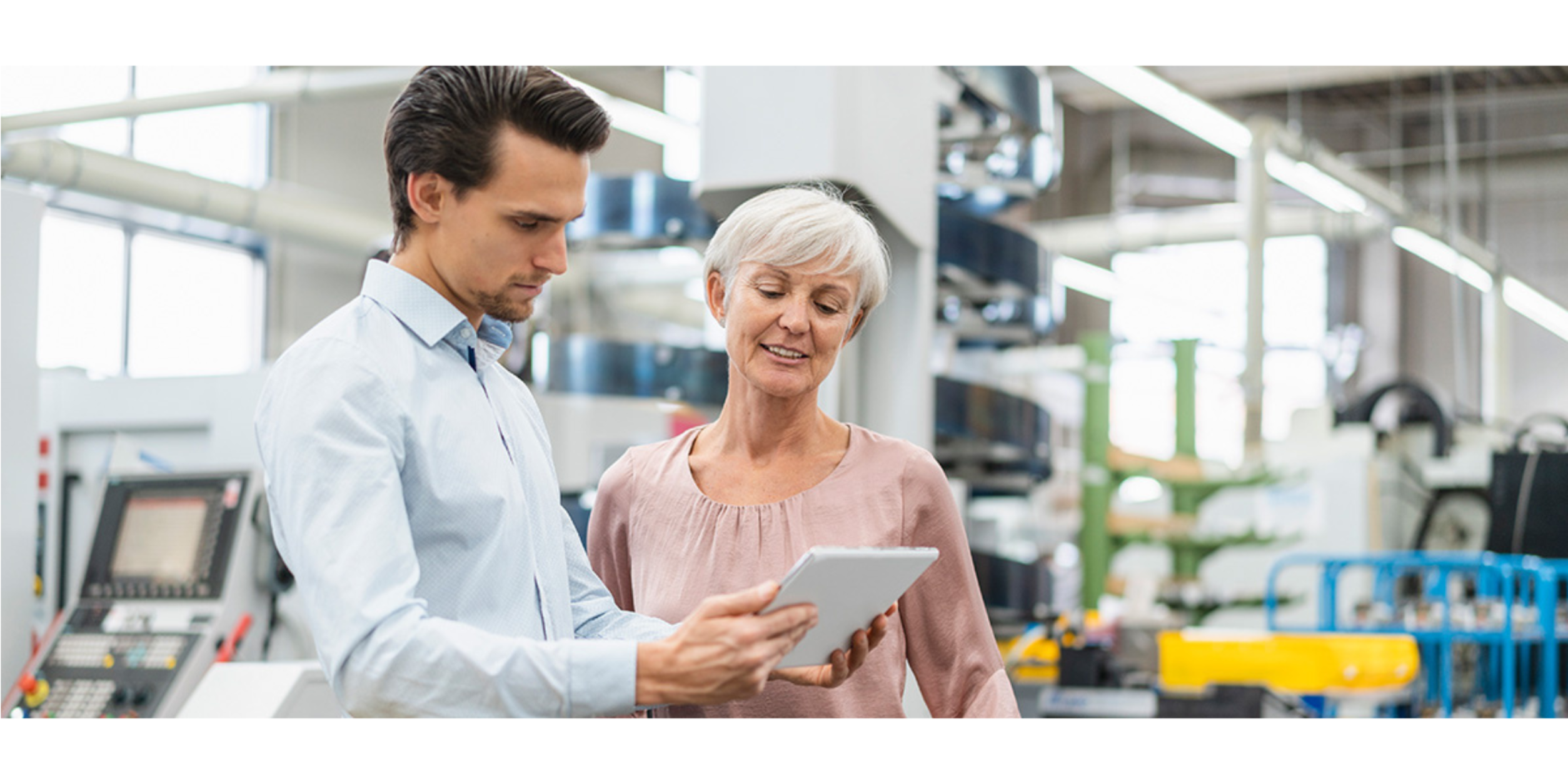 DVAG Versicherungs Dschungel 2000 x 1000 px