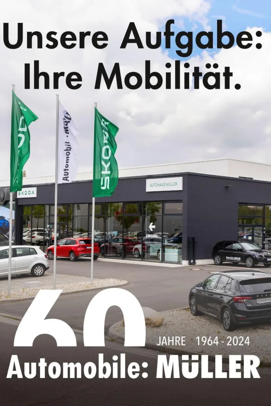 mehrere Autos und Fahnen vor dem Autohaus