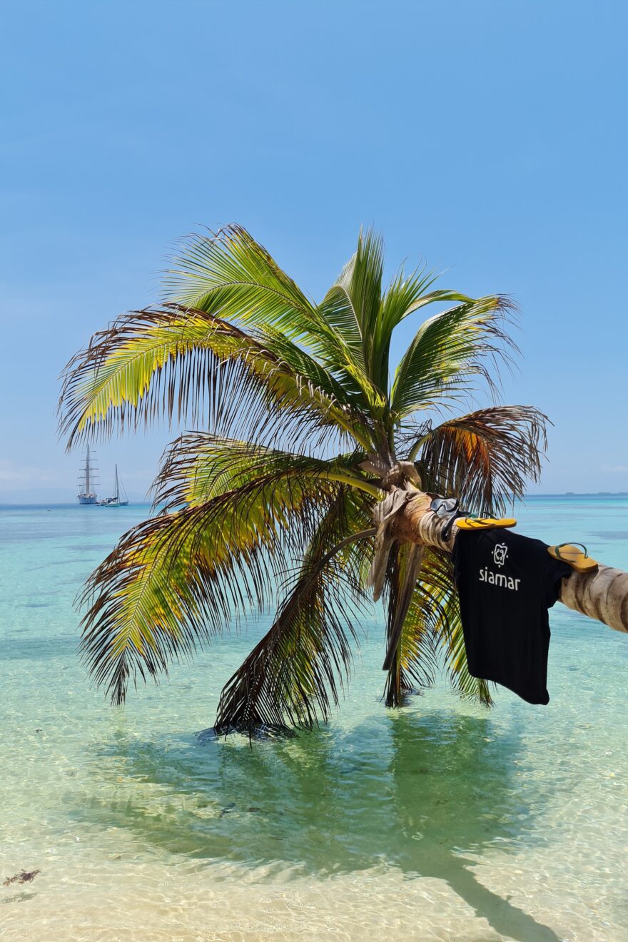 Bild von einer Palme vor einem traumhaft türkisen Meer auf der Palme ein schwarzes Shirt mit der Aufschrift Siamar und Flipflops