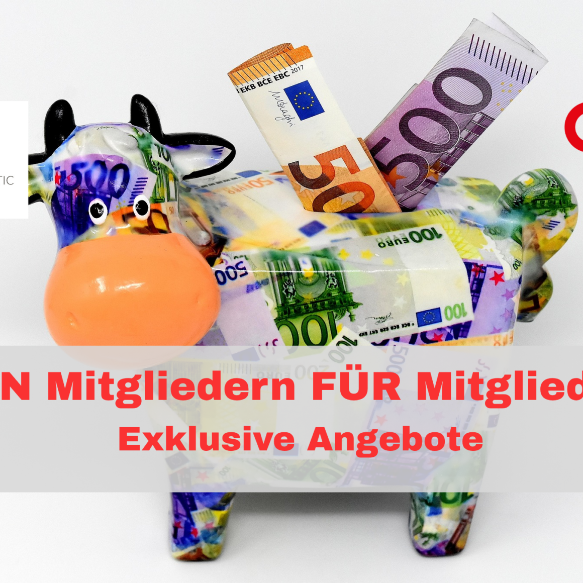 Exklusive Vorteile von Mitgliedern für Mitglieder 10