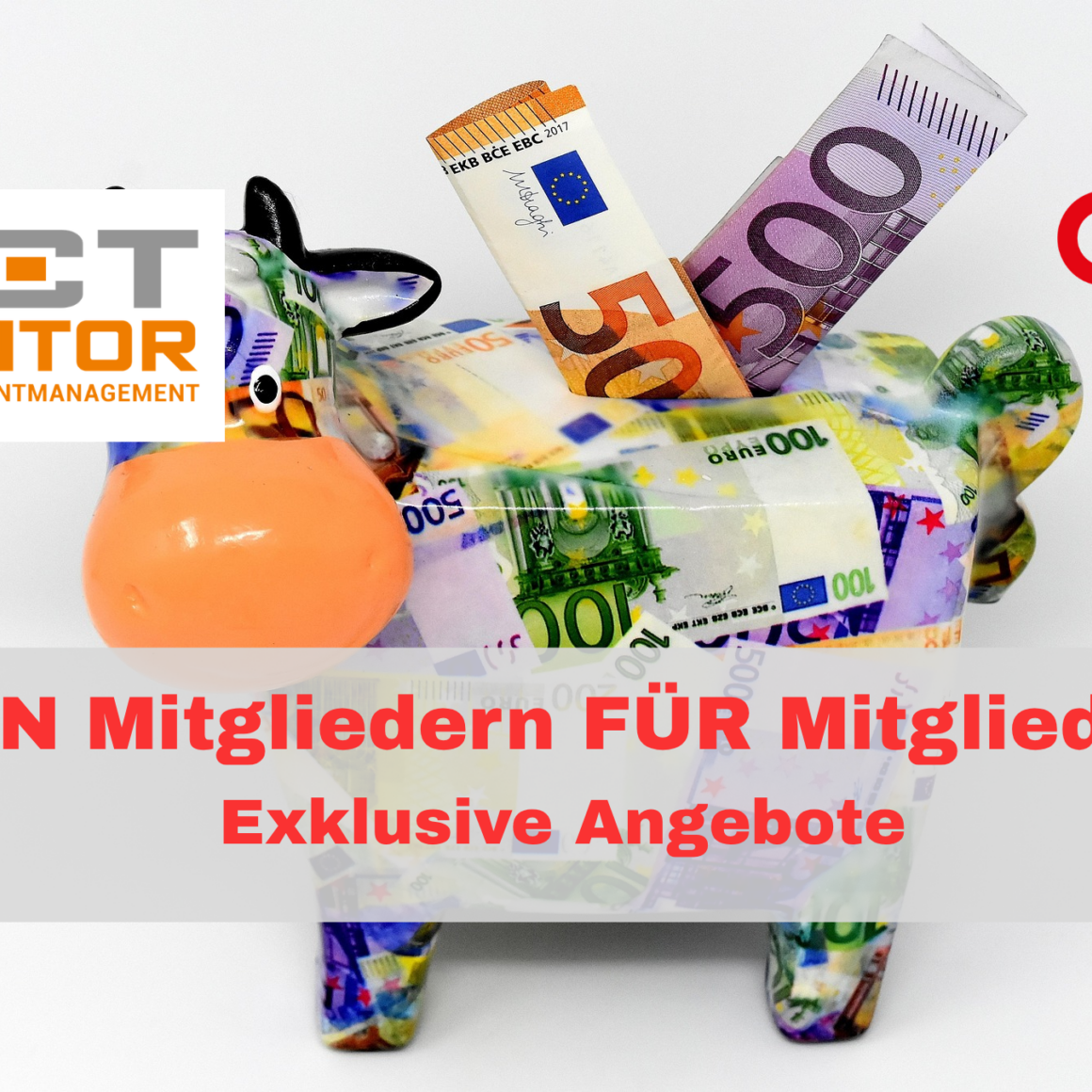 Exklusive Vorteile von Mitgliedern für Mitglieder 11