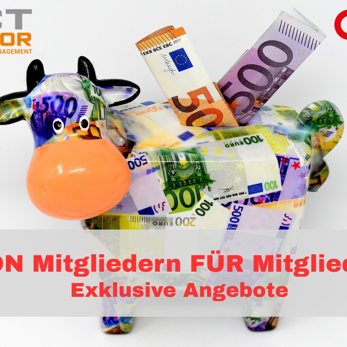 Exklusive Vorteile von Mitgliedern für Mitglieder 7