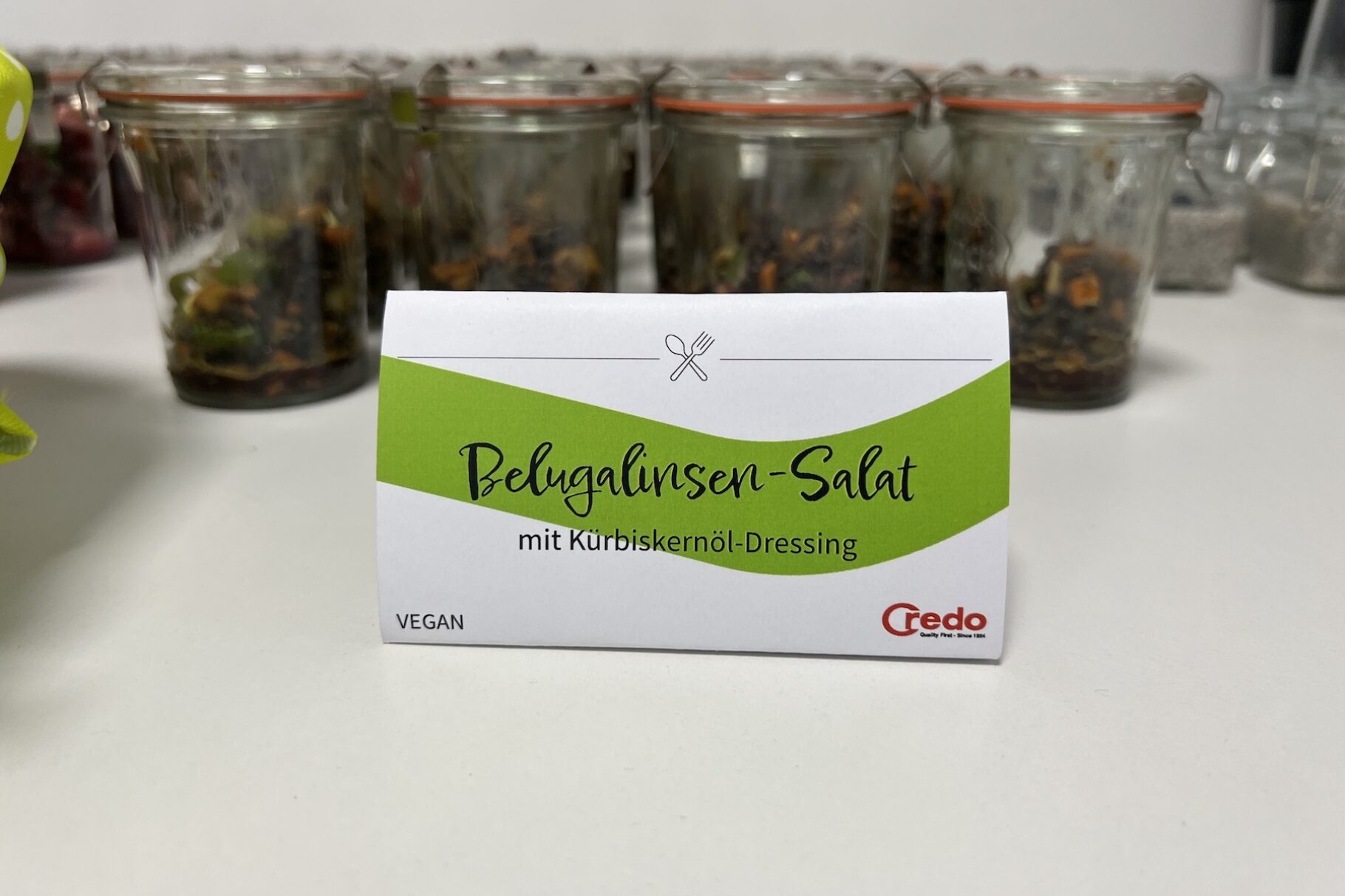Krebsgesellschaft 3