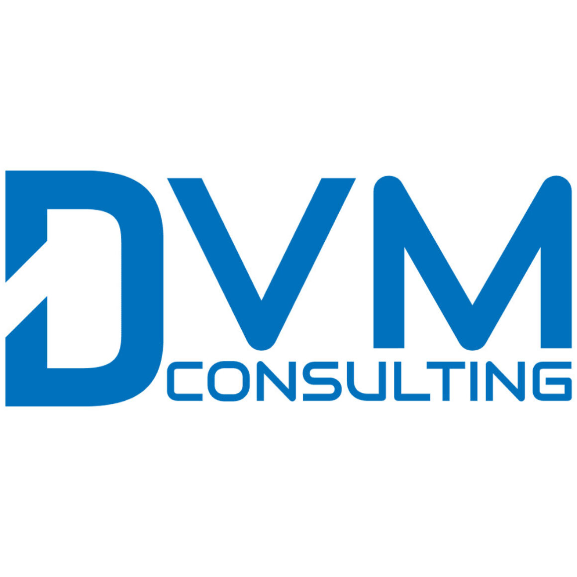 Logo DVM Consulting