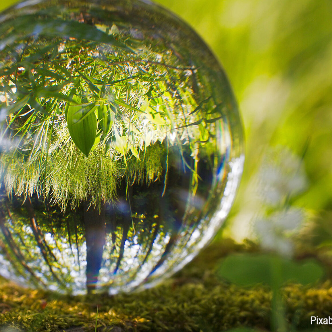 Glaskugel im Grün