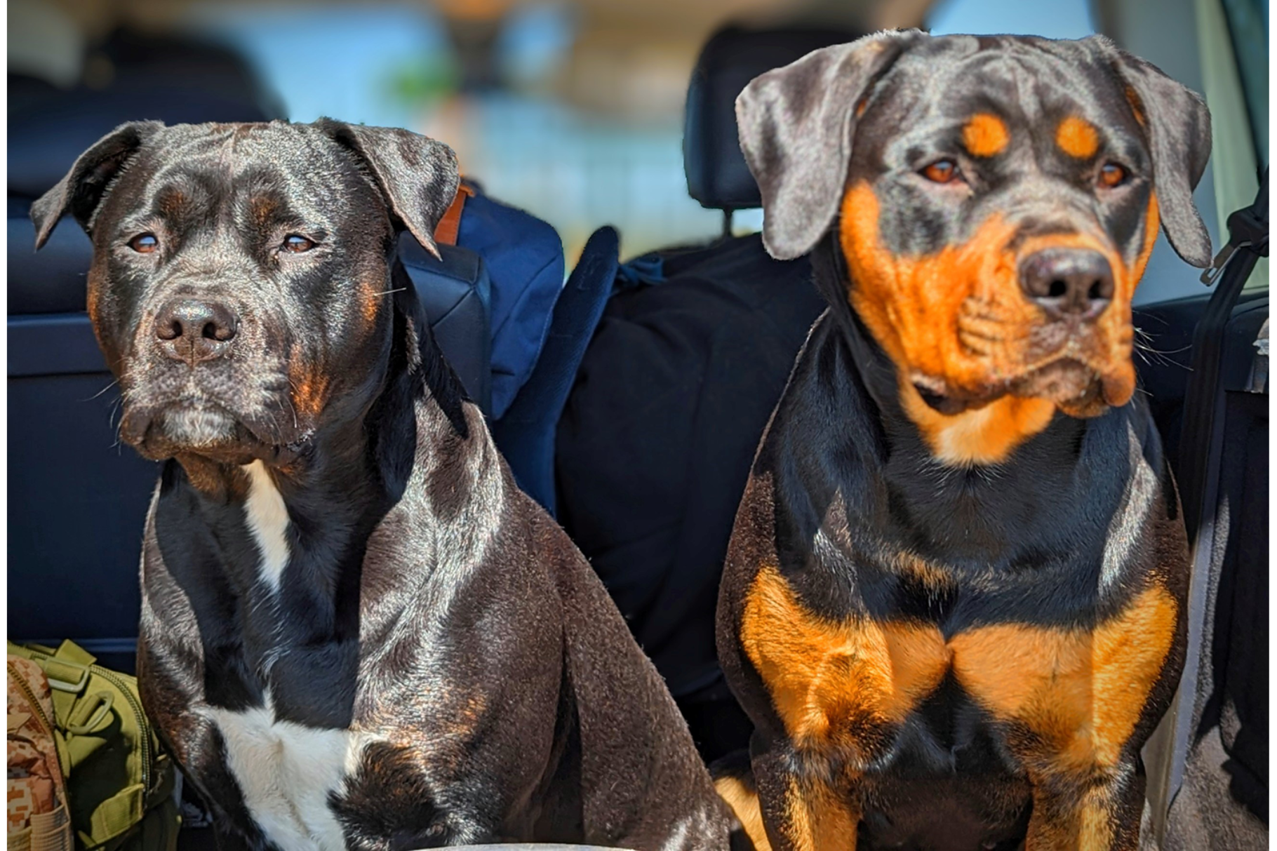 Vanessa Christensen - Expedition Hoffnung