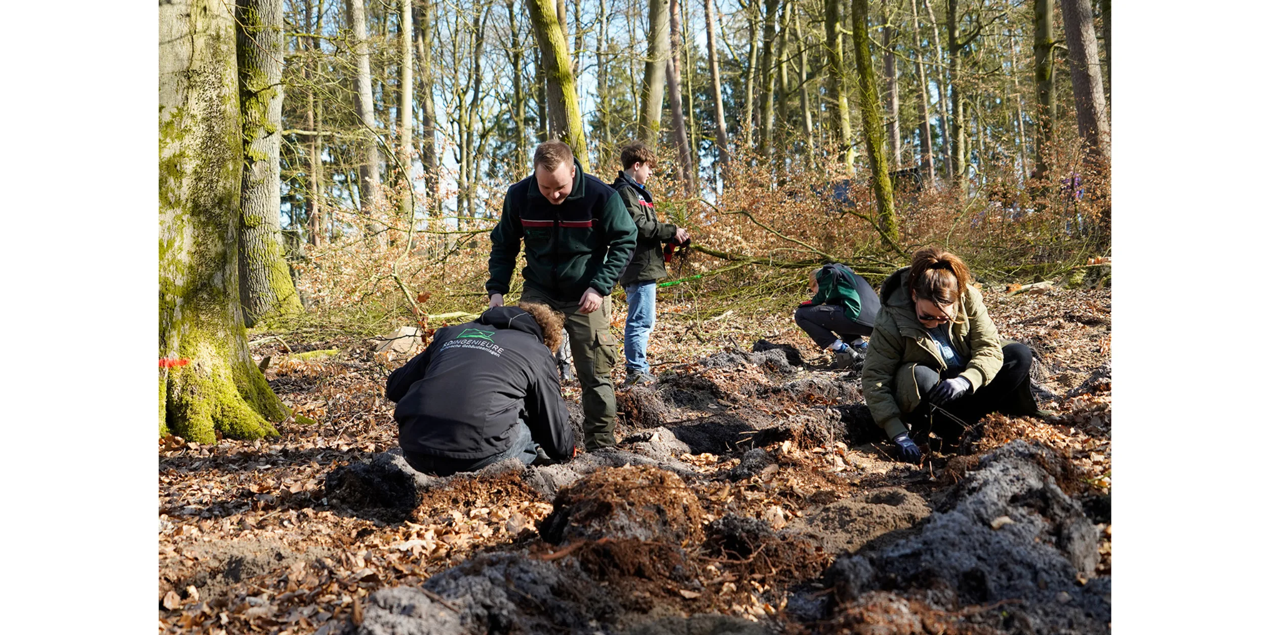 BVMW  Zukunftswald