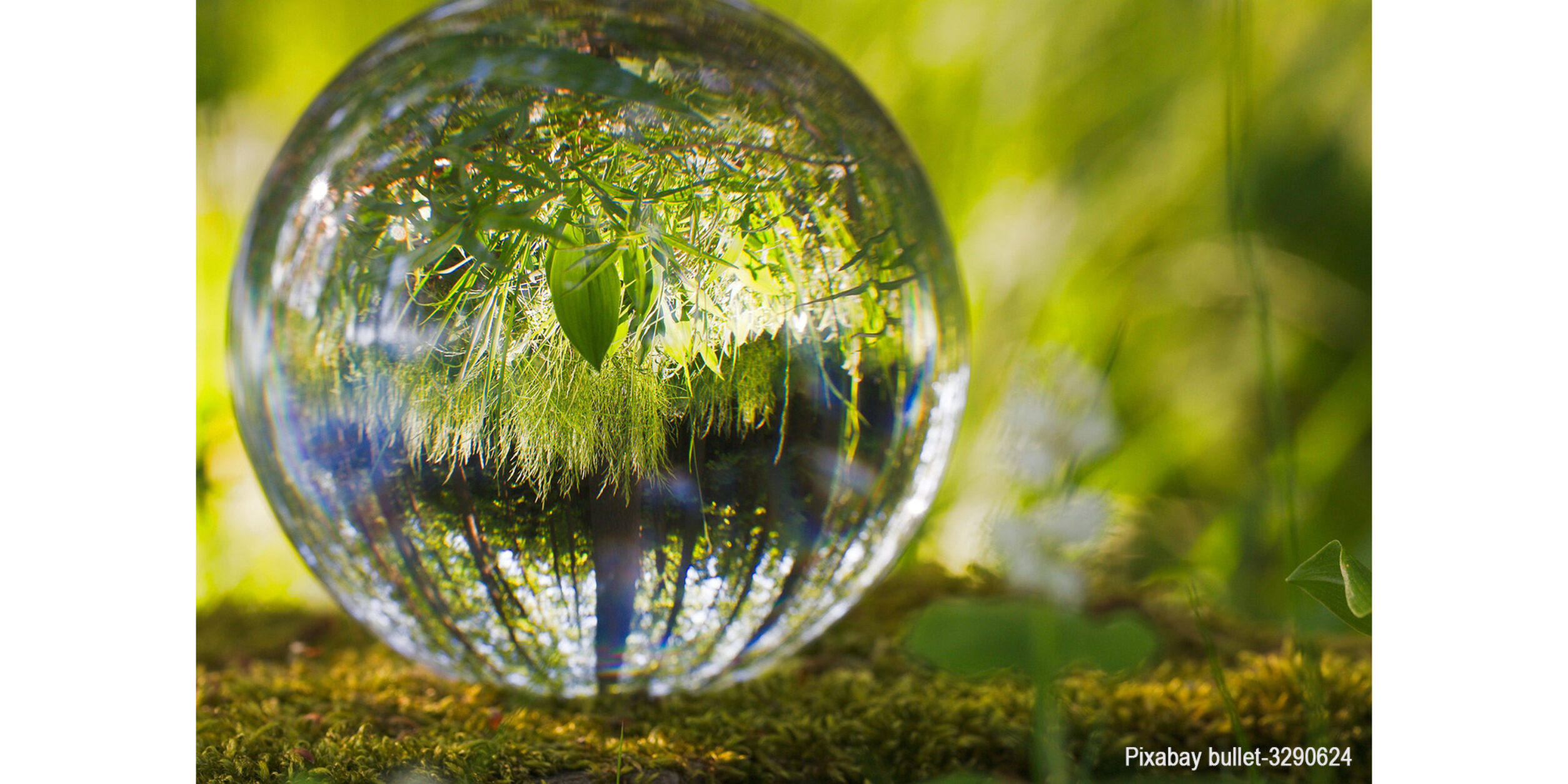 Glaskugel im Grün