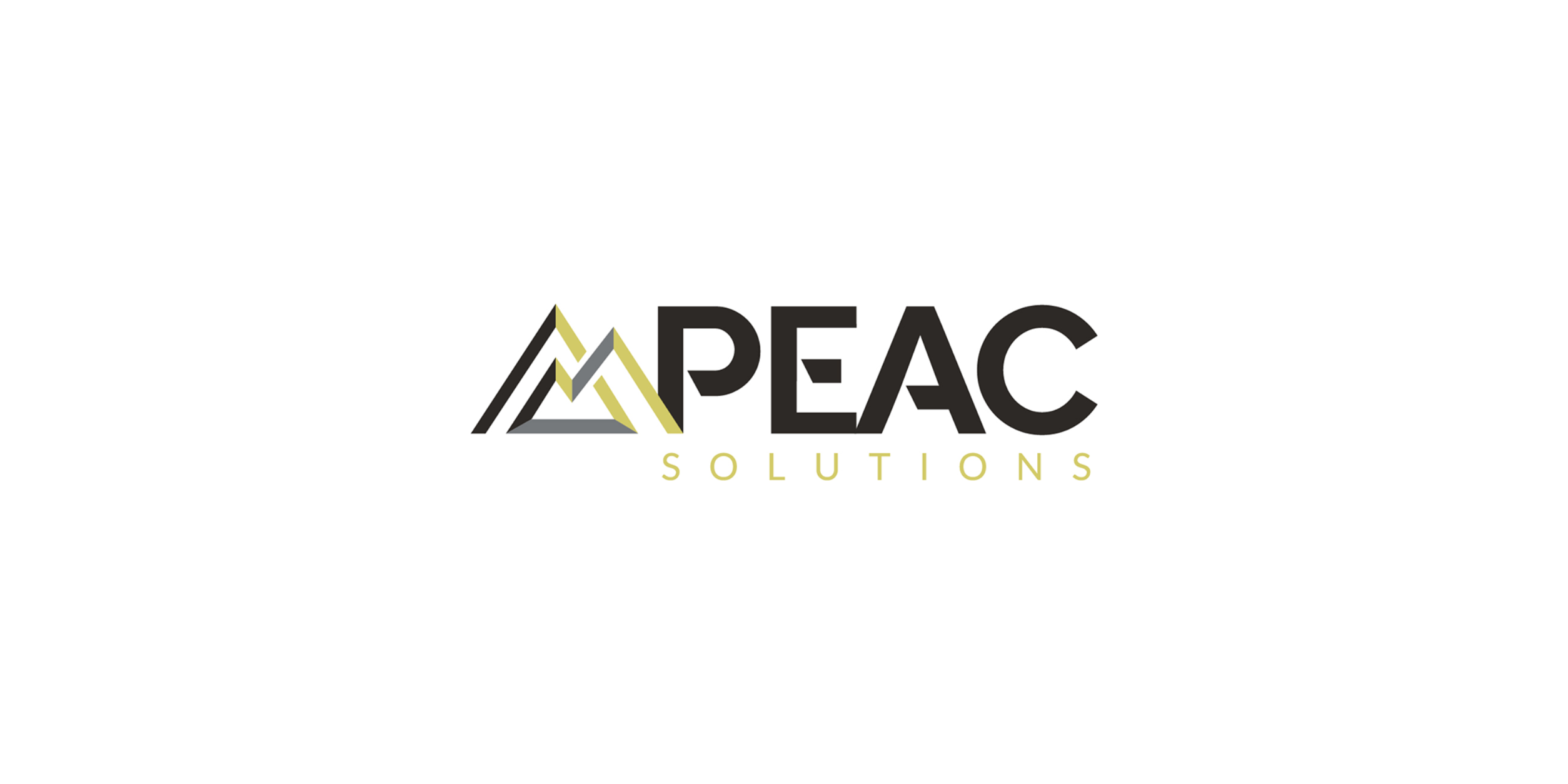 Logo der PEAC Solutions