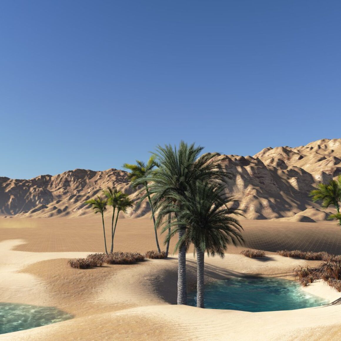 Oase, Palmen, Wüste