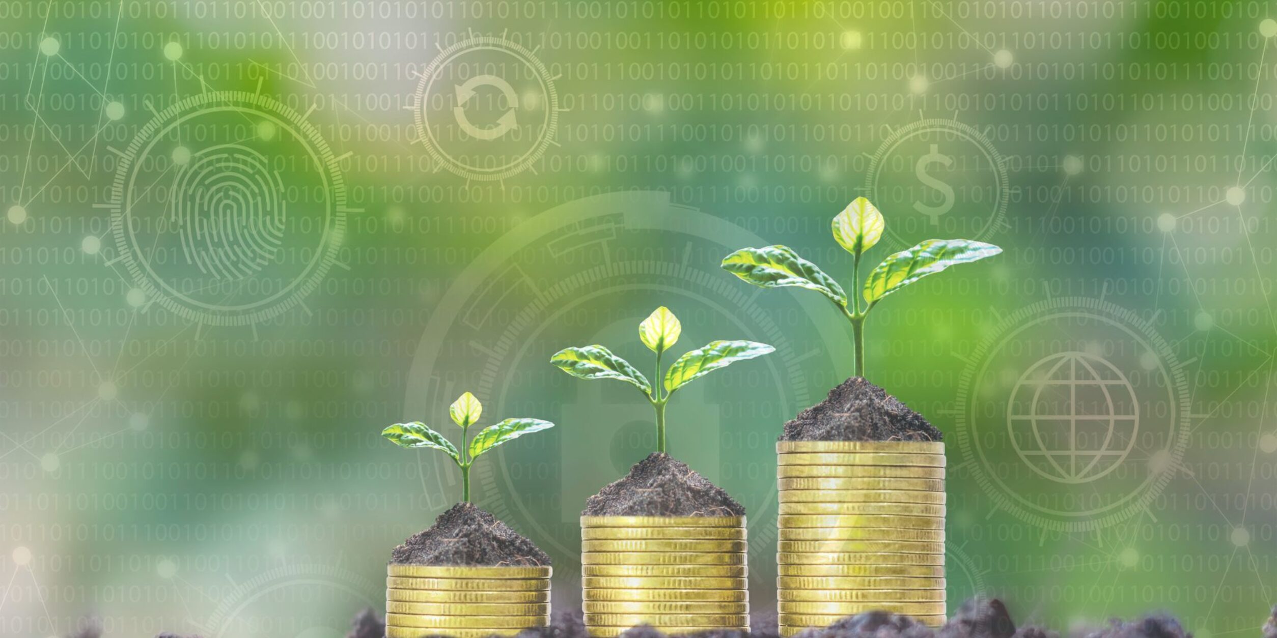 Geldstapel auf denen kleine Triebe wachsen