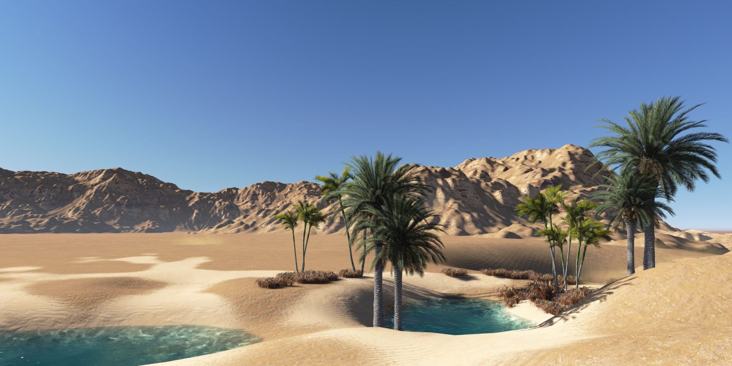 Oase, Palmen, Wüste