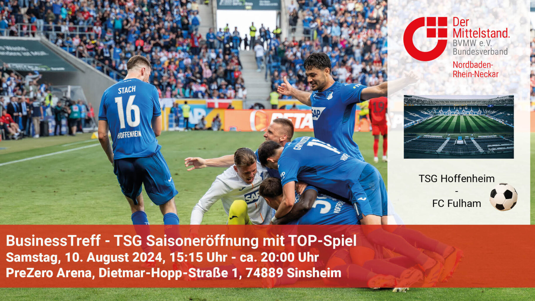 Banner Hoffenheim