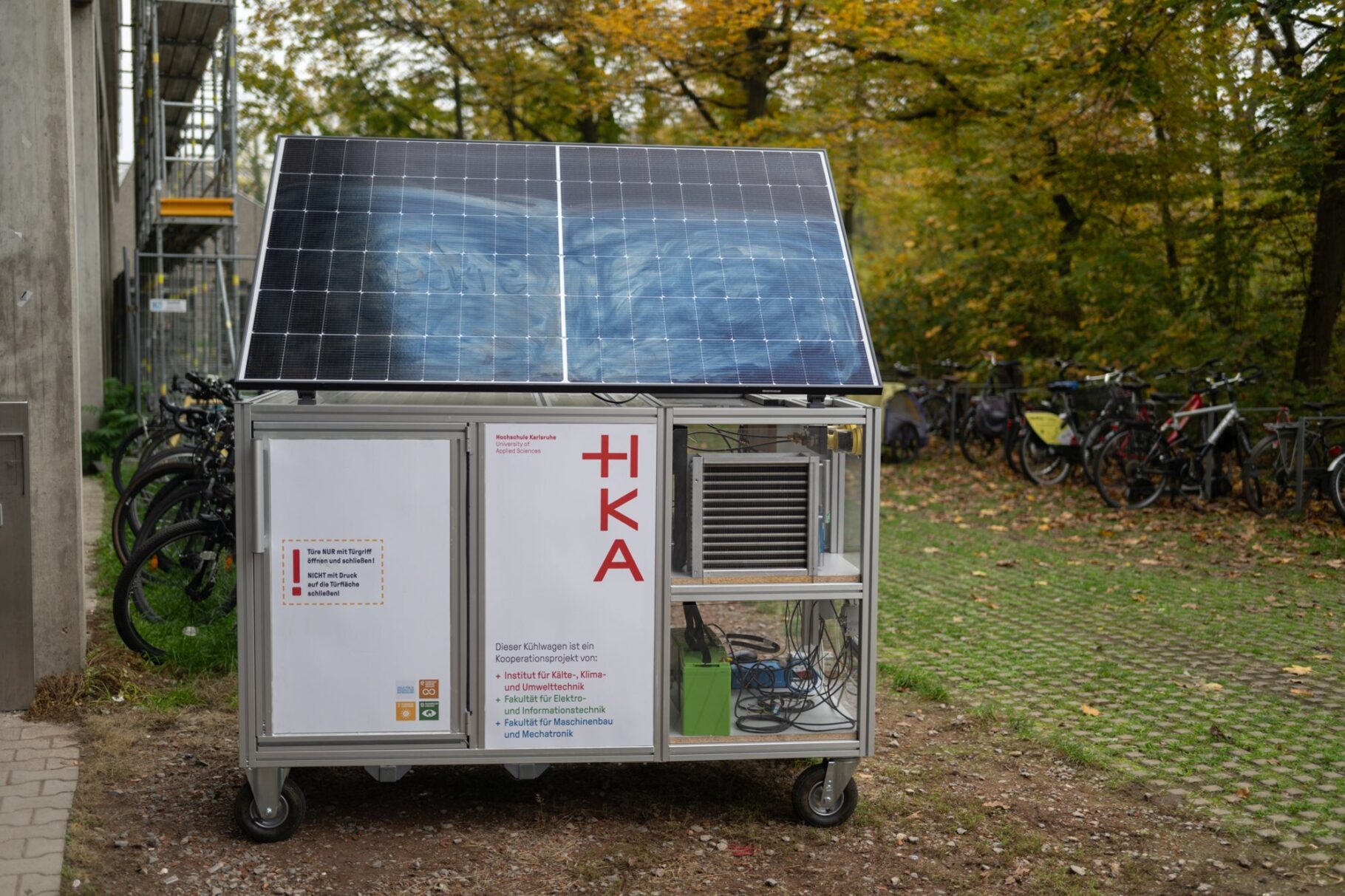 Mici20241107 120222 NZ8 0623