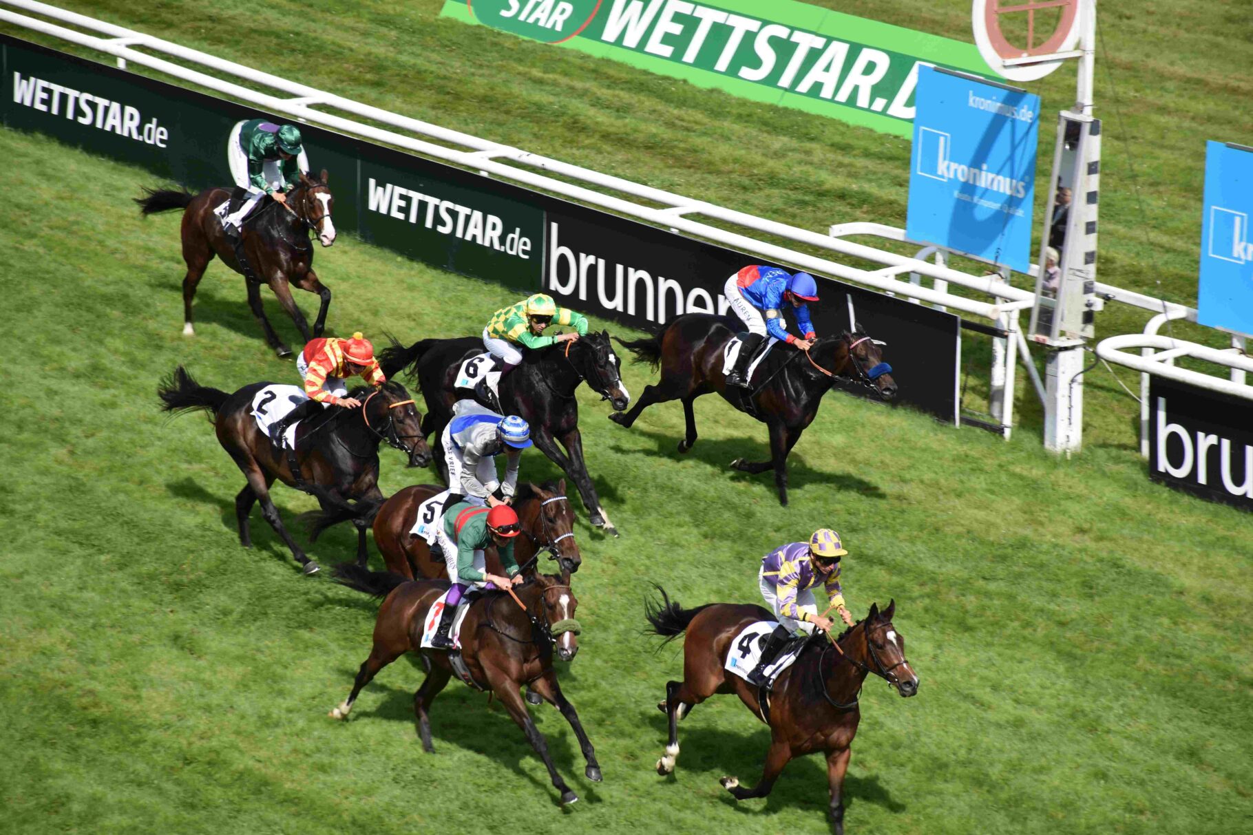 Pferde mitten im Rennen