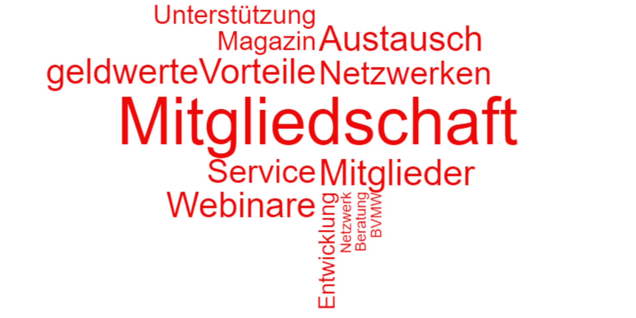 Wortwolke mit Begriffen von Service und Leistungen des BVMW