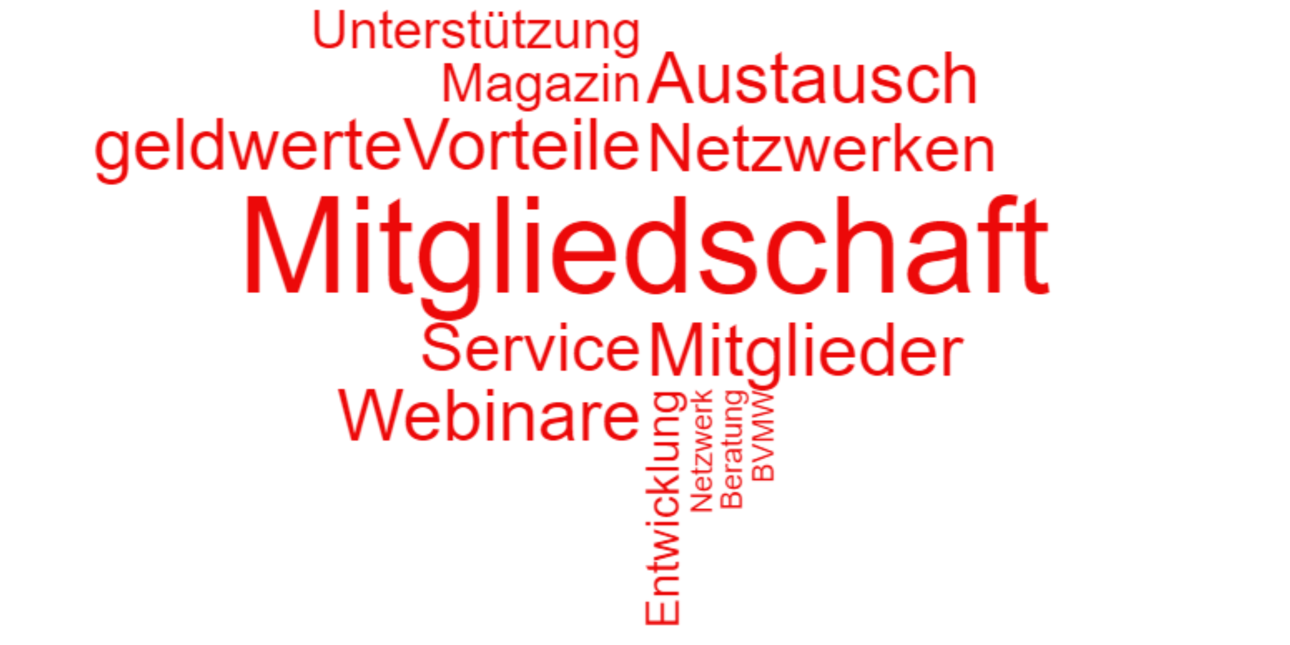 Wortwolke mit Begriffen von Service und Leistungen des BVMW