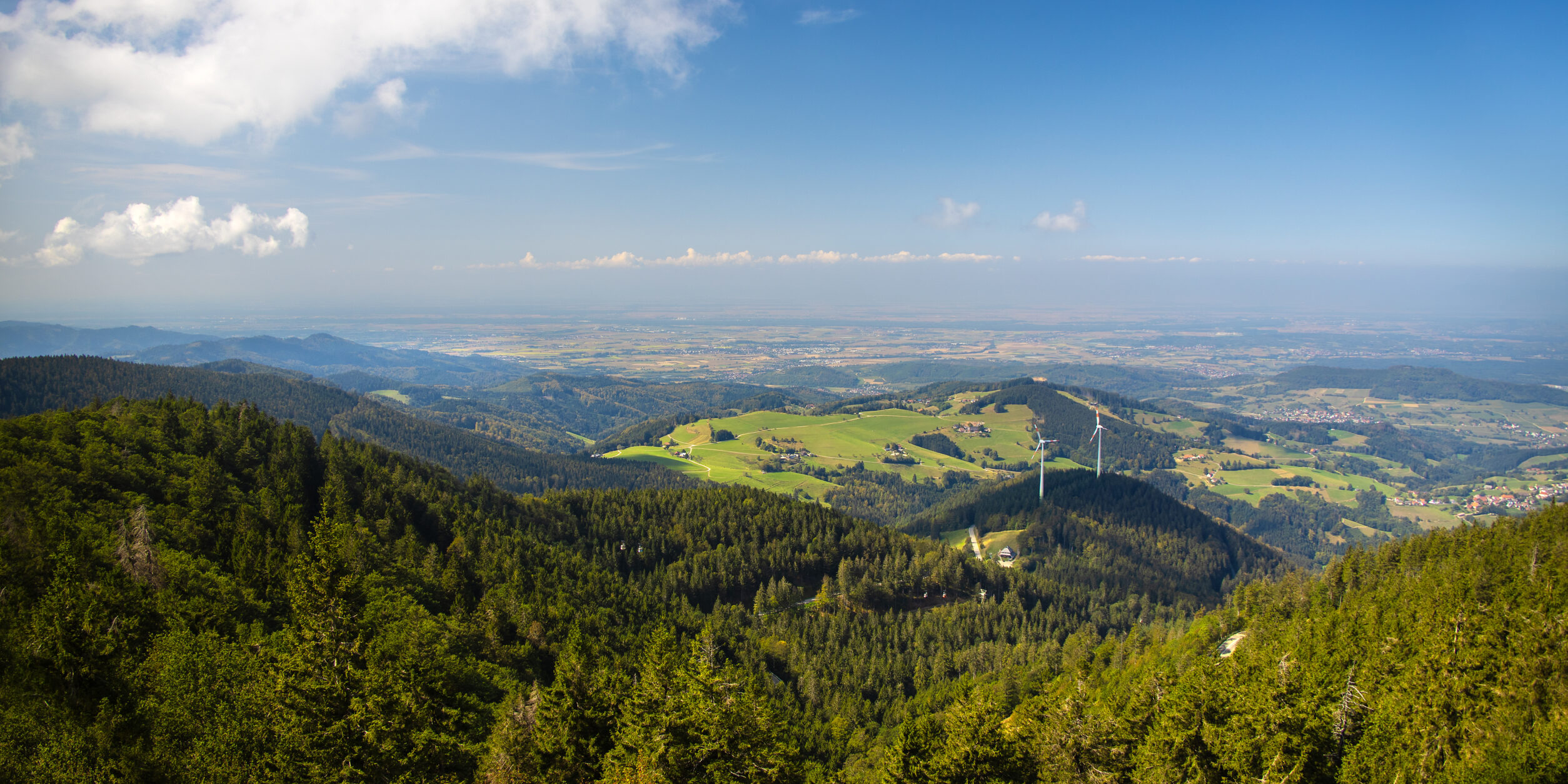 Blick in die Rheinebene