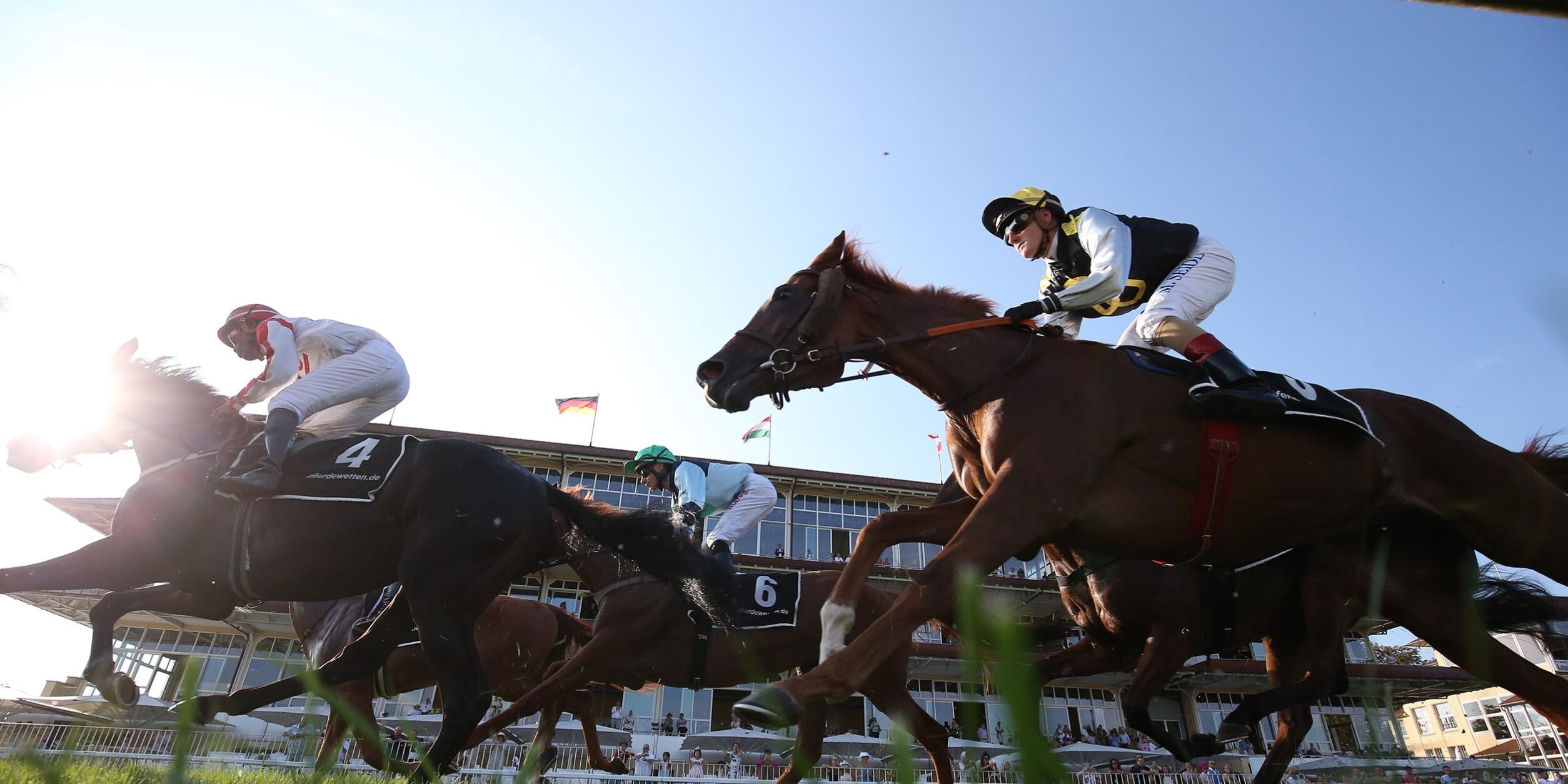 Pferde während dem Rennen