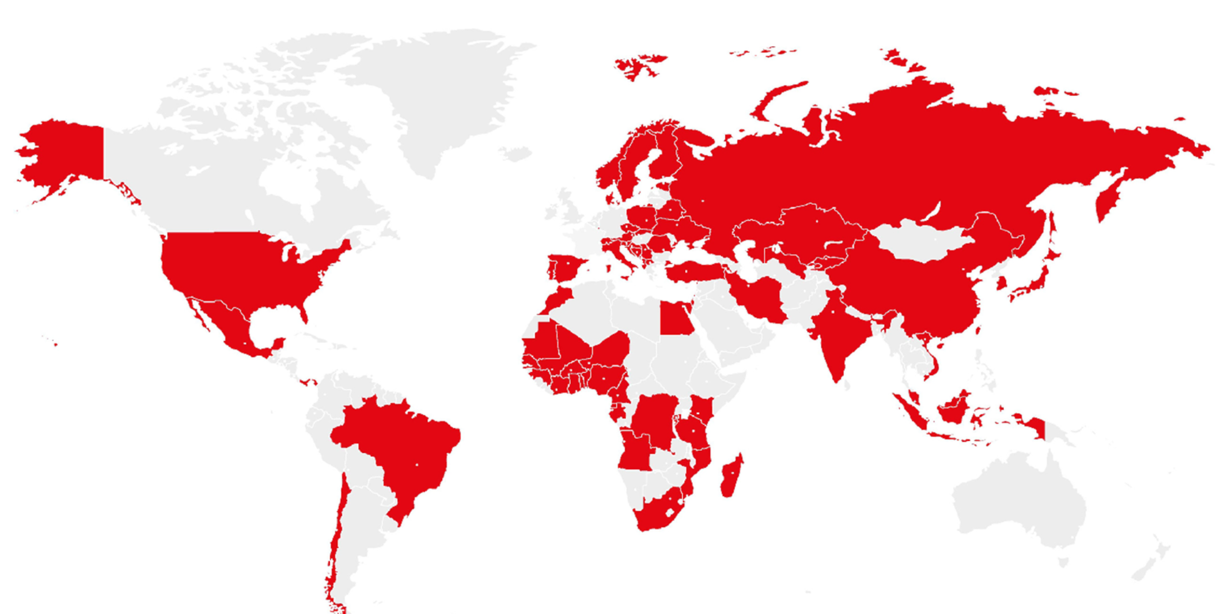 BVMW Aussenwirtschaft
