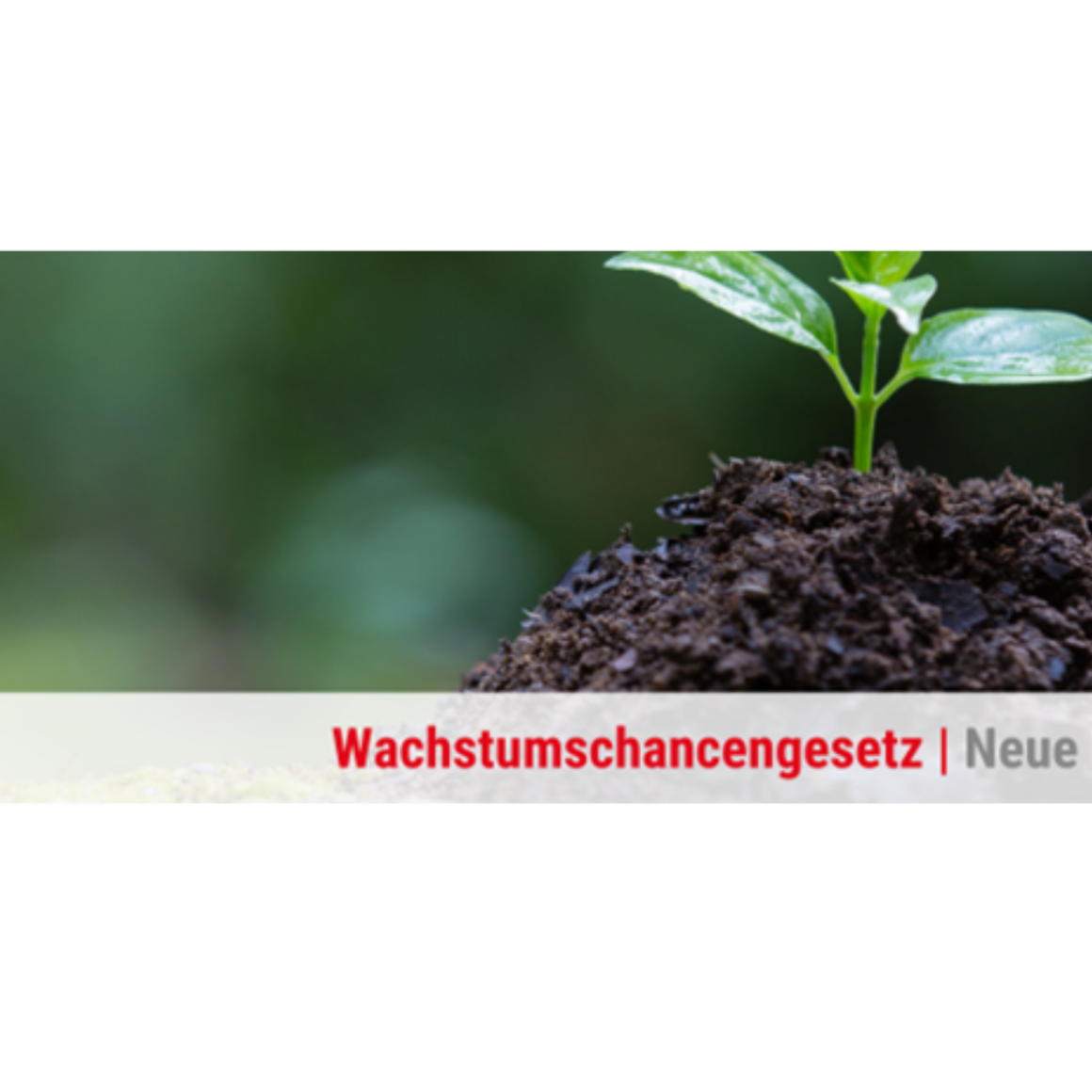 BVMW Mittelrhein zum Wachstumschancengesetz
