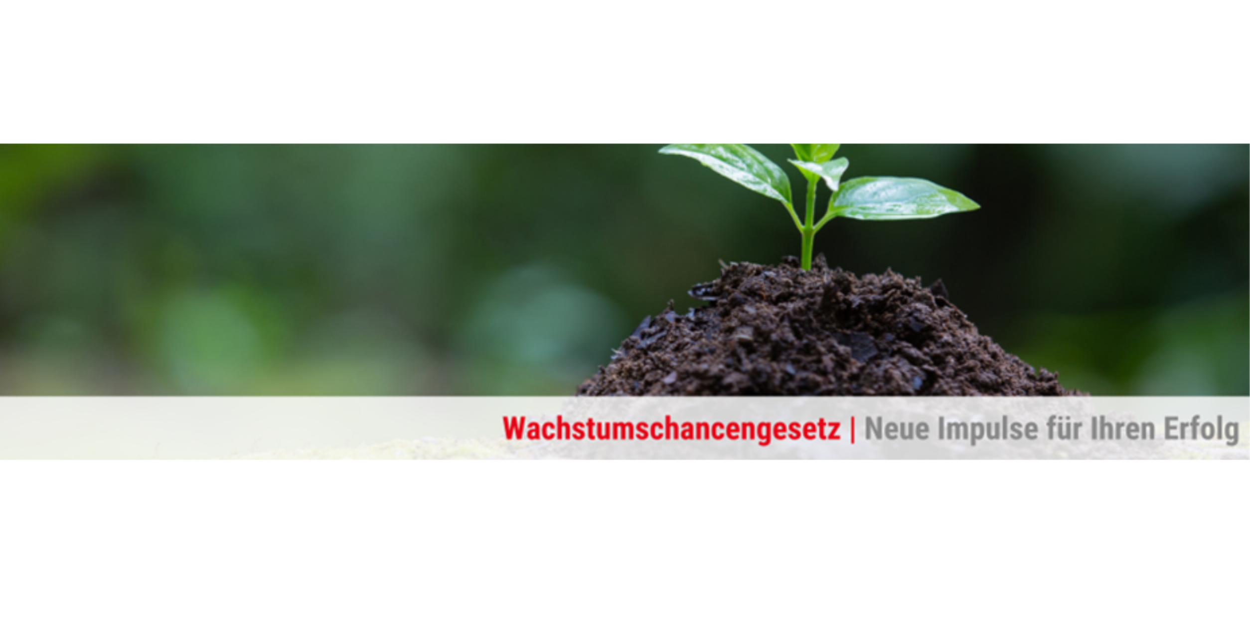 BVMW Mittelrhein zum Wachstumschancengesetz