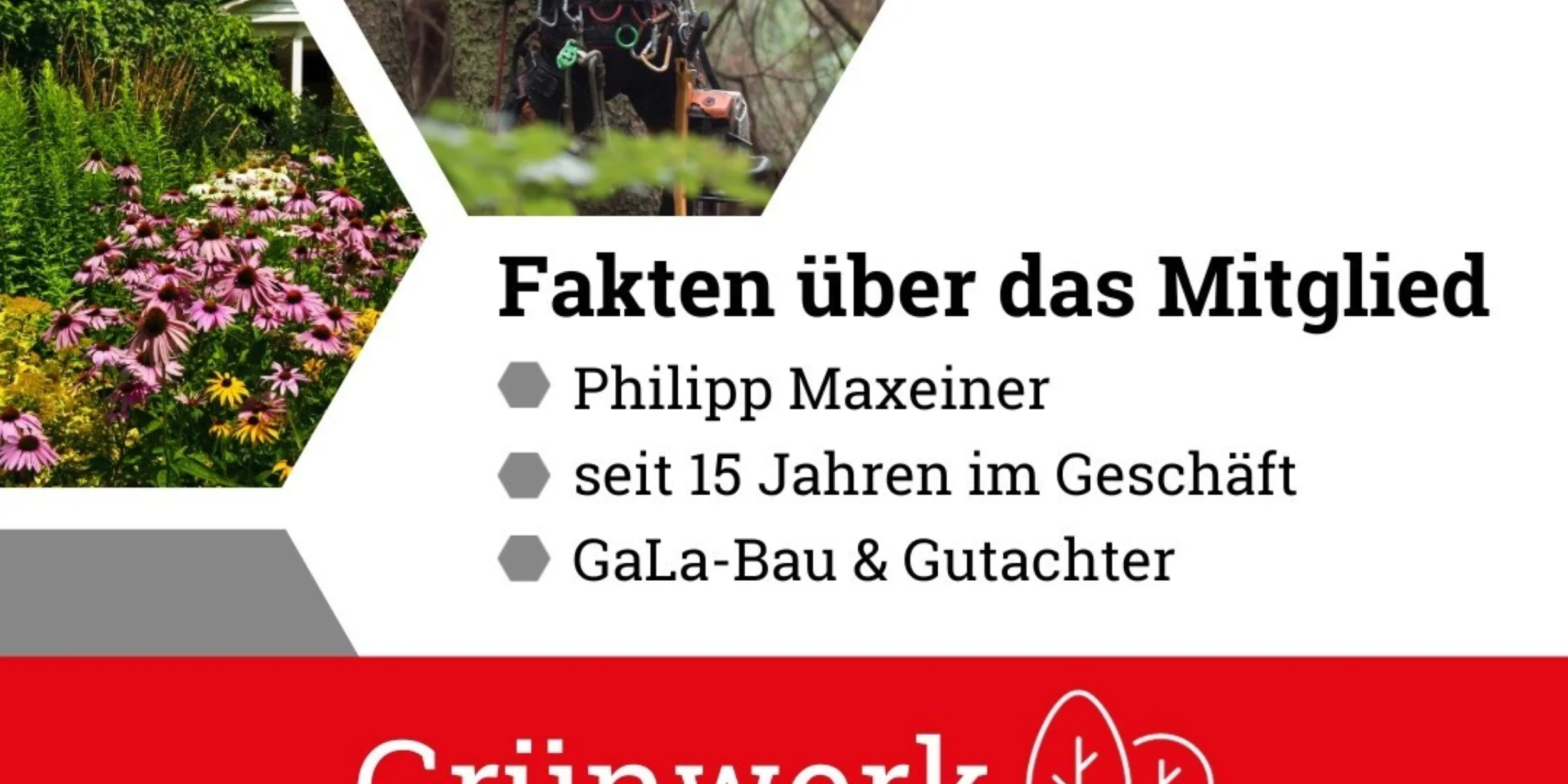 Mitglieder Vorstellung BVMW Rhein Wied Firma Grünwerk