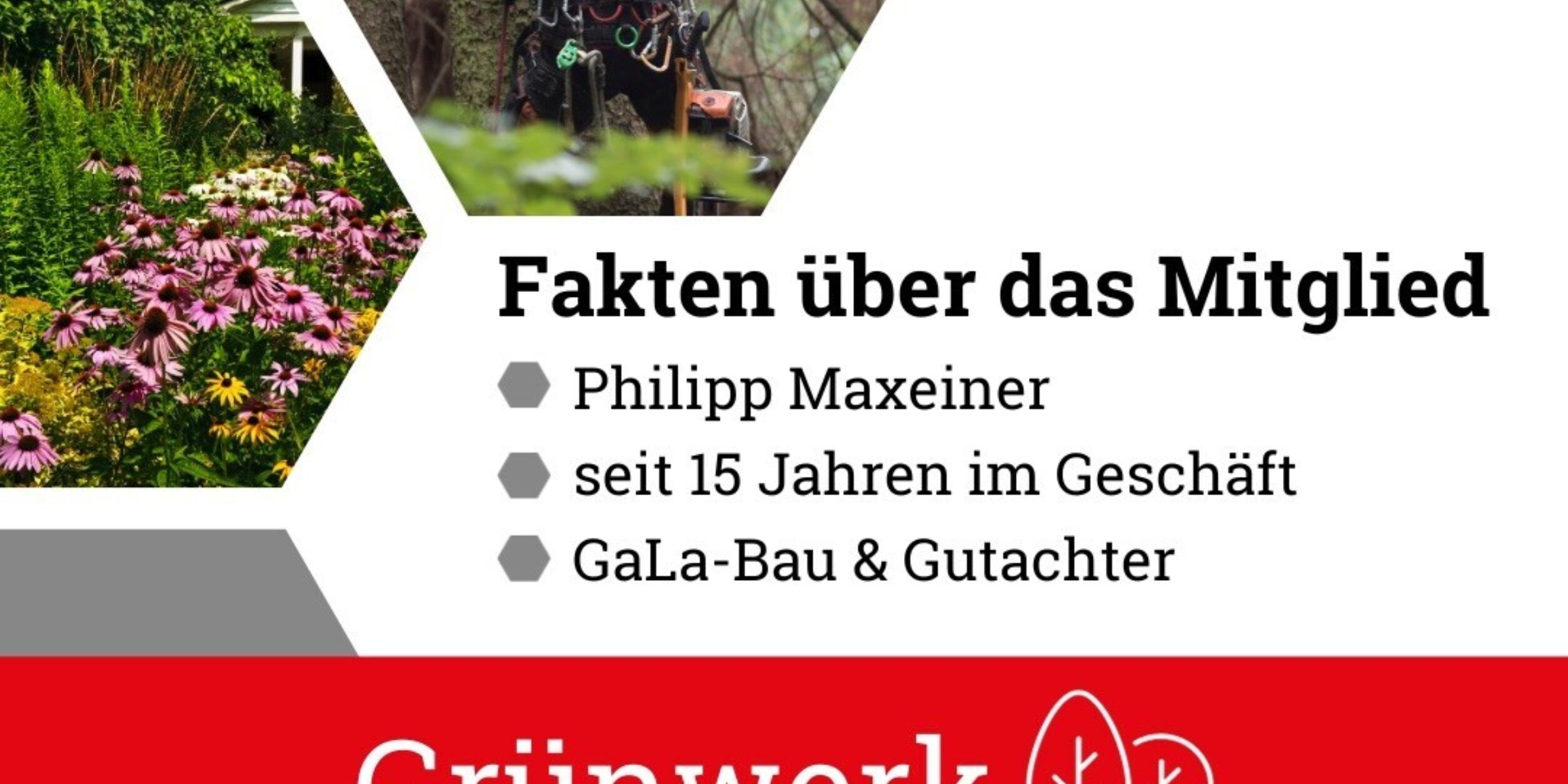 Mitglieder Vorstellung BVMW Rhein Wied Firma Grünwerk