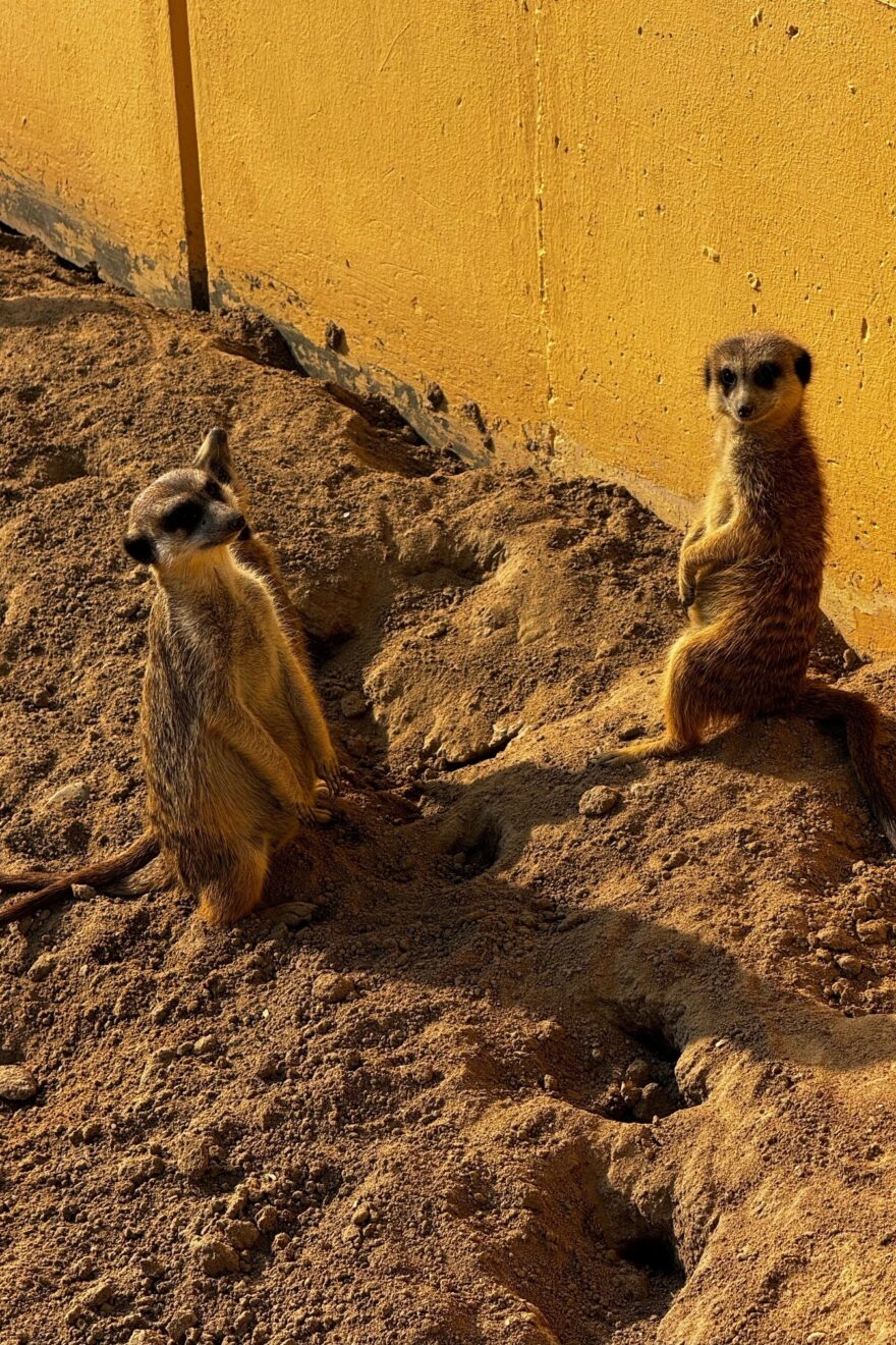 Netzwerktreffen im Zoo von Neuwied