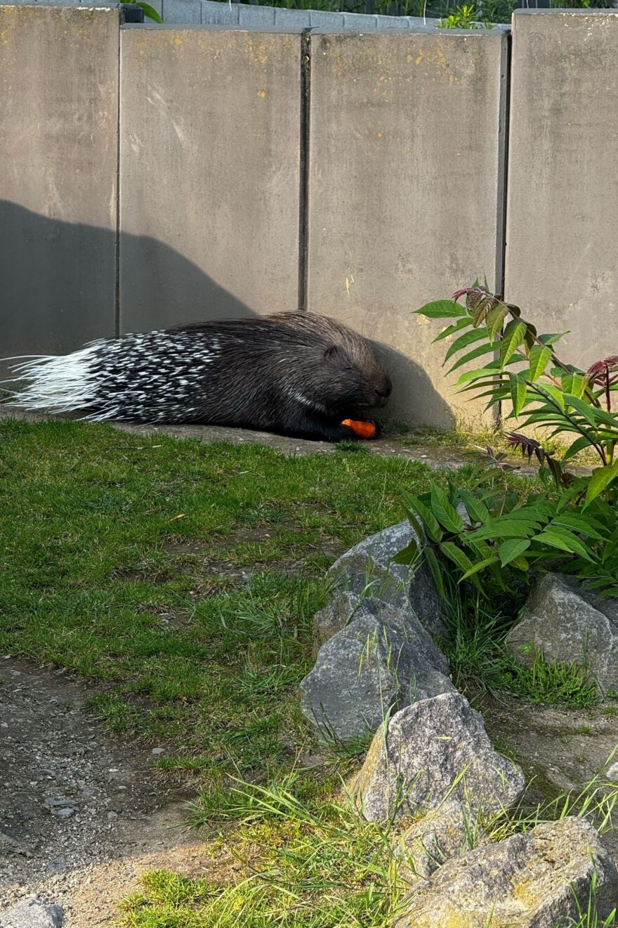 Netzwerktreffen im Zoo von Neuwied
