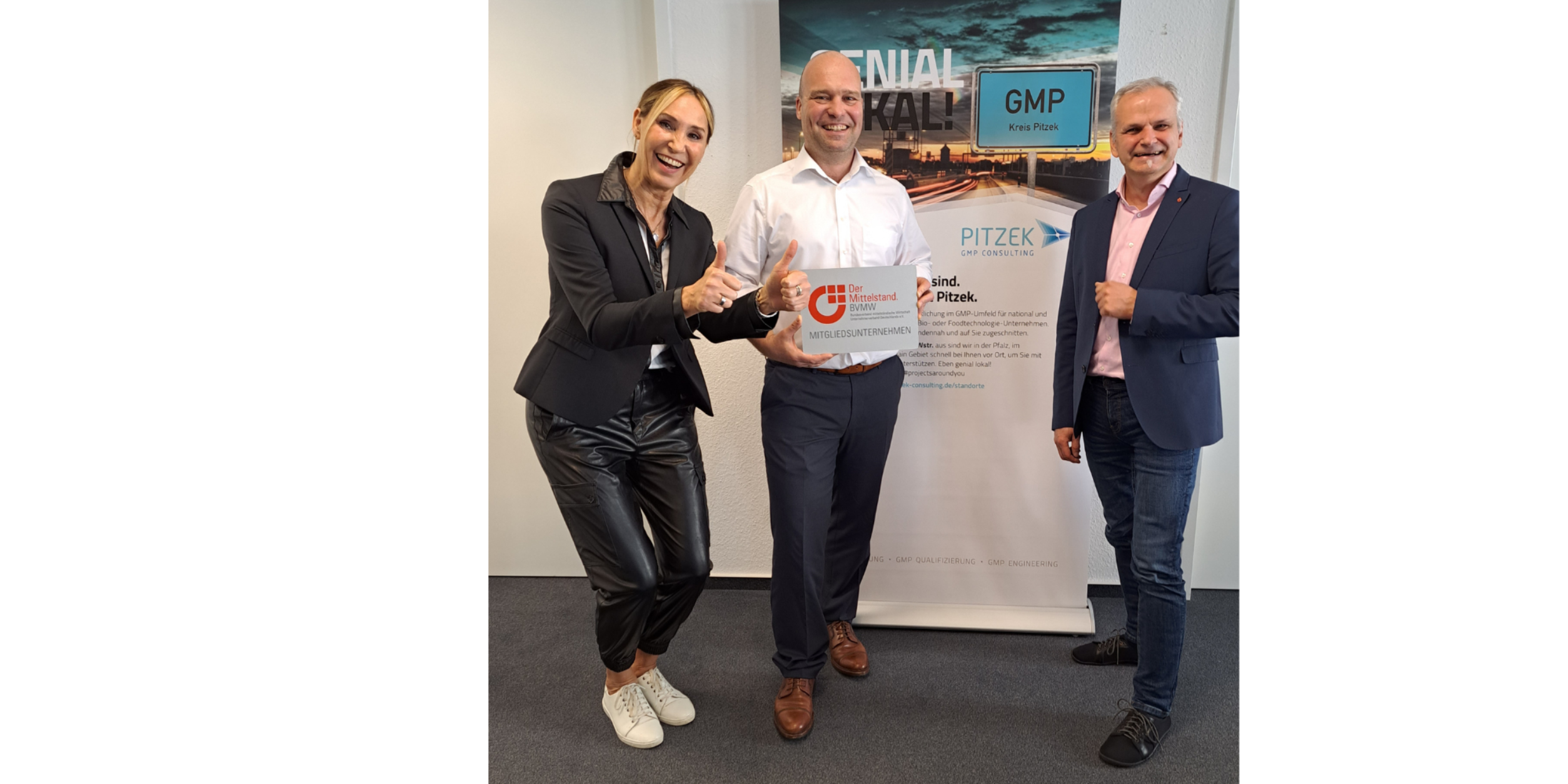 Pitzek GMP Consulting GmbH