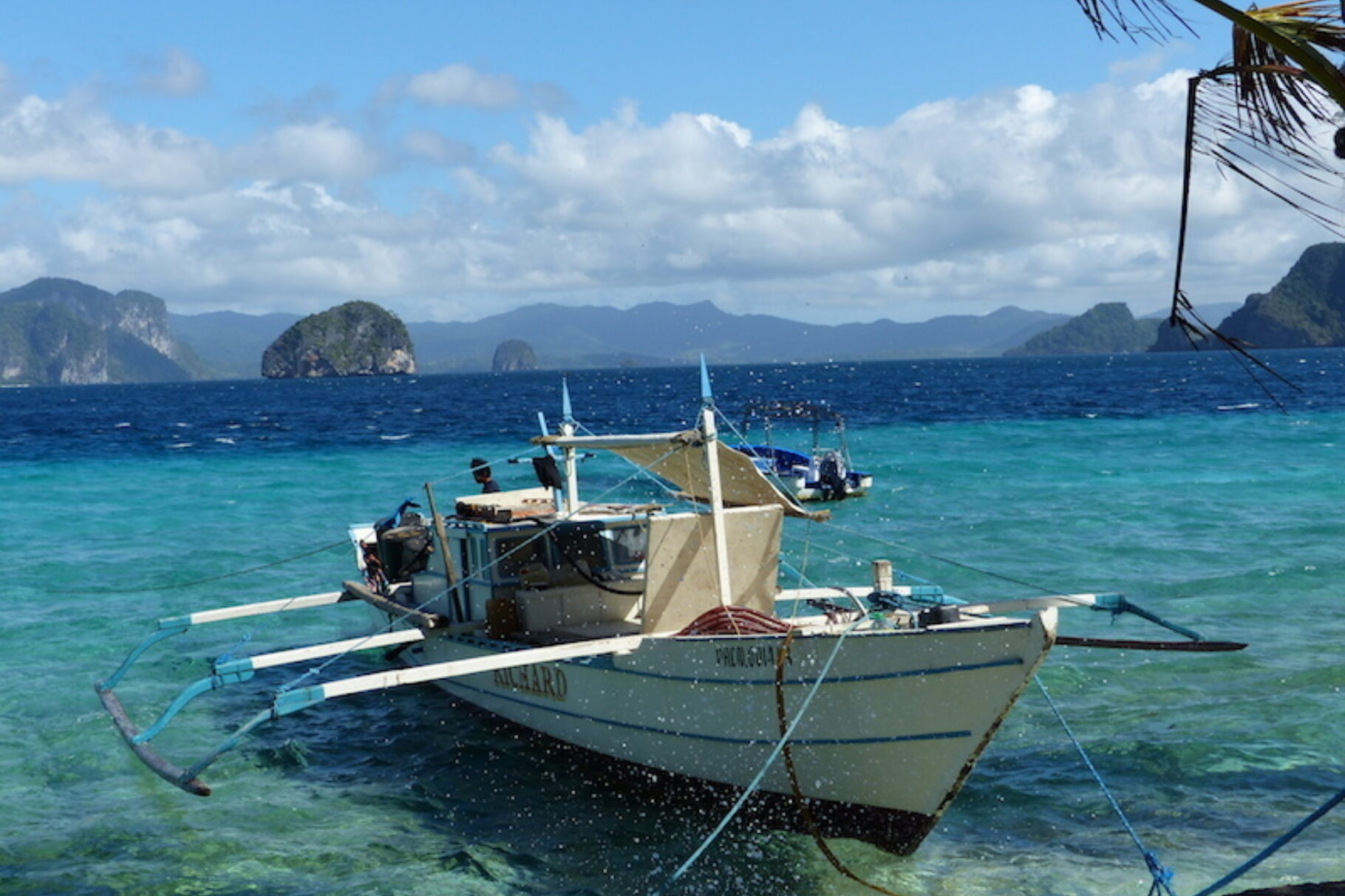 Kapwa palawan