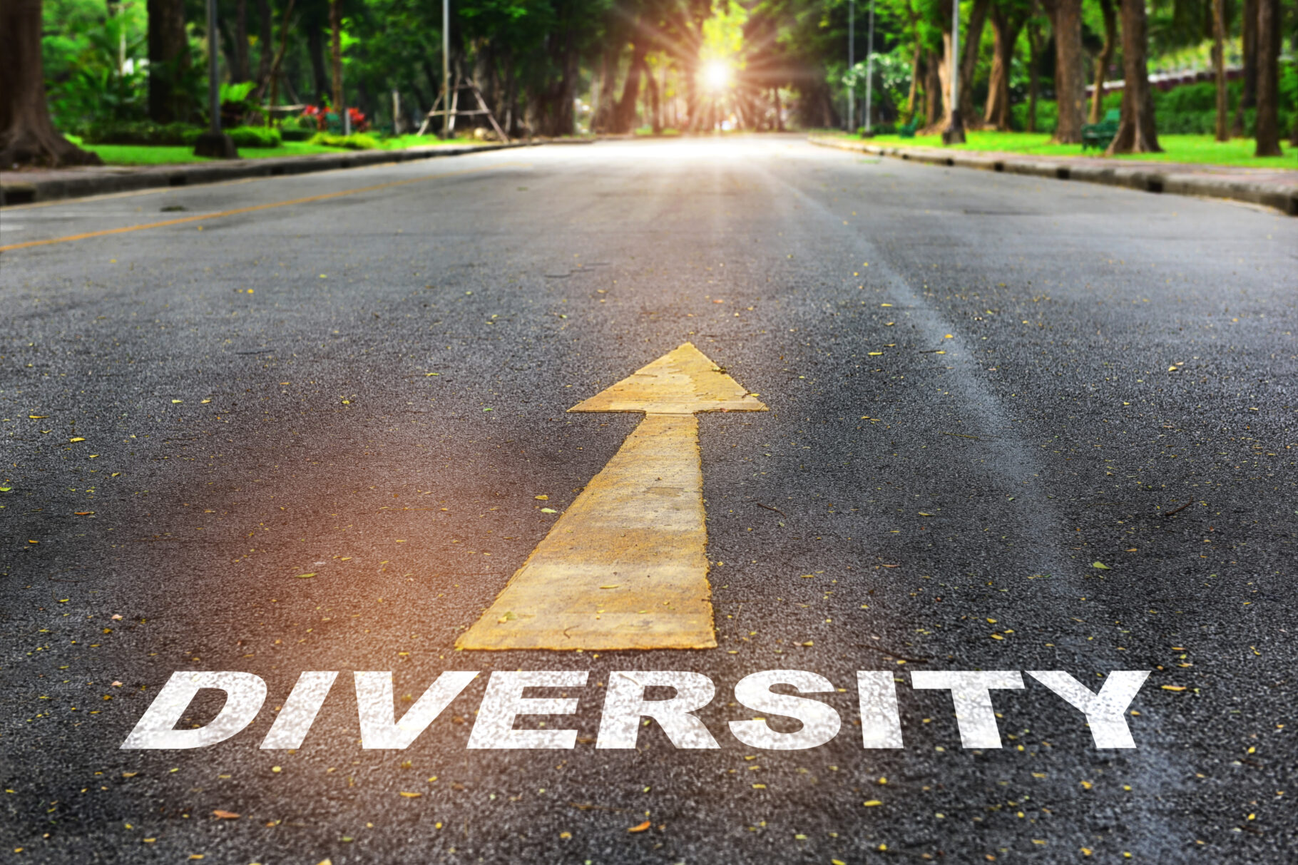 Fachbericht Anna Schneider