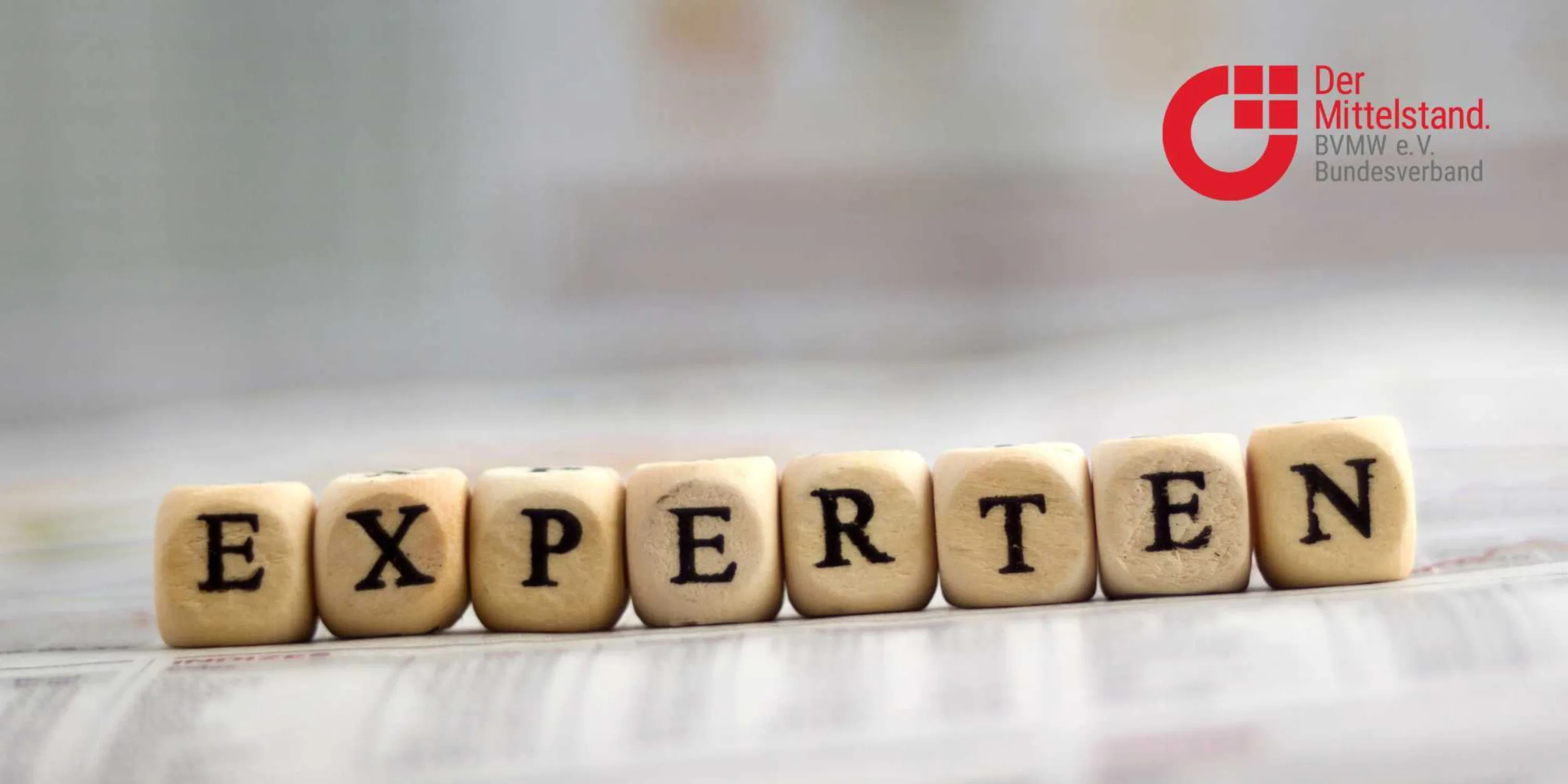 Expertenkreis BVMW