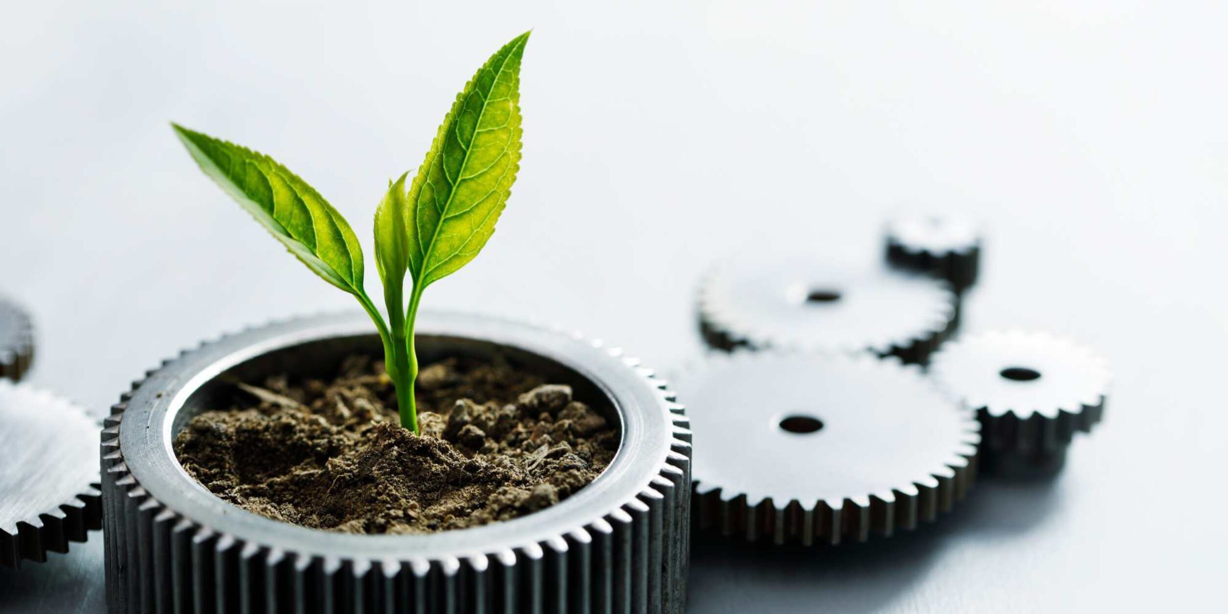 Markus Krüger Nachhaltige Produktion