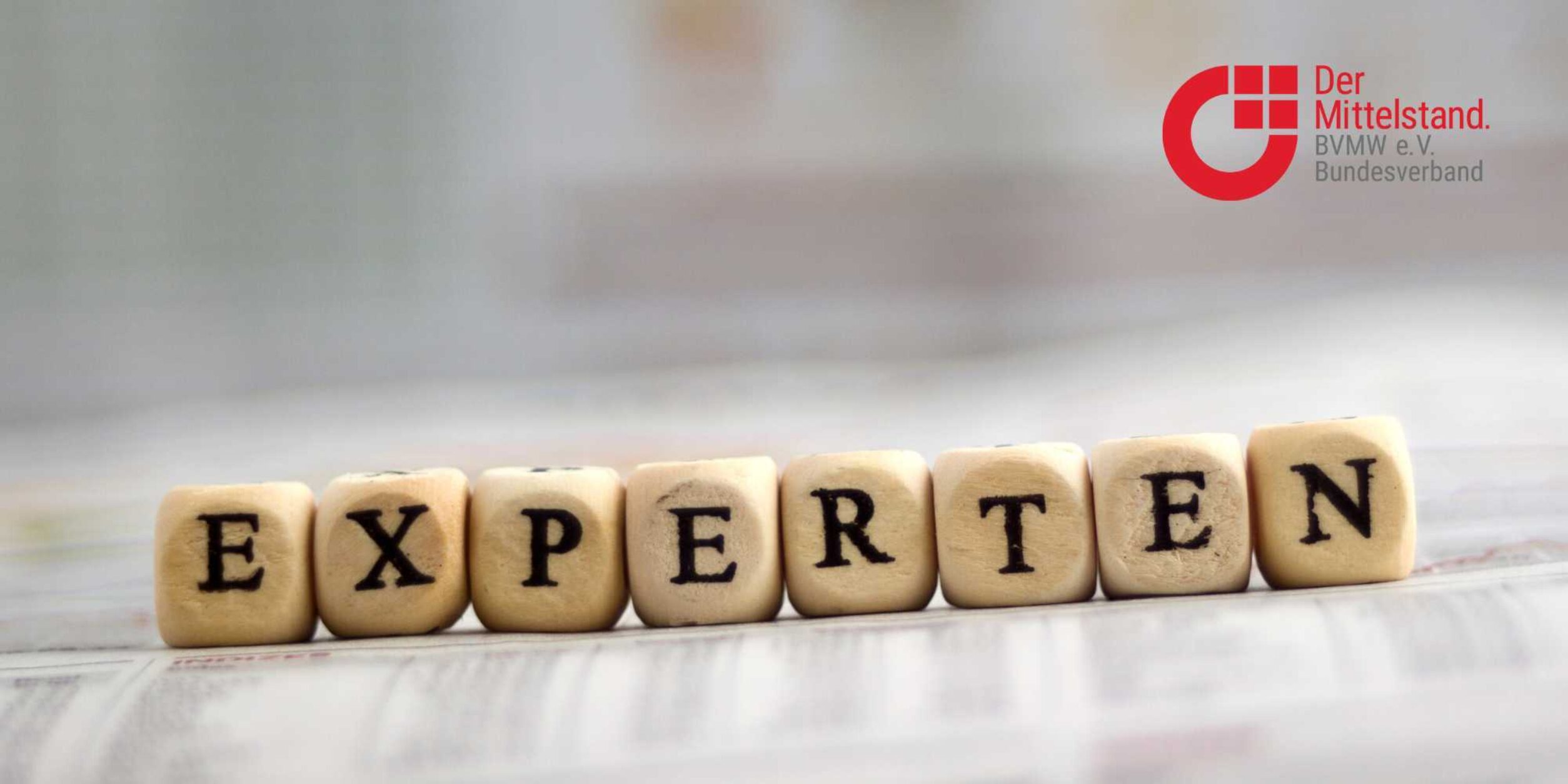 Expertenkreis BVMW