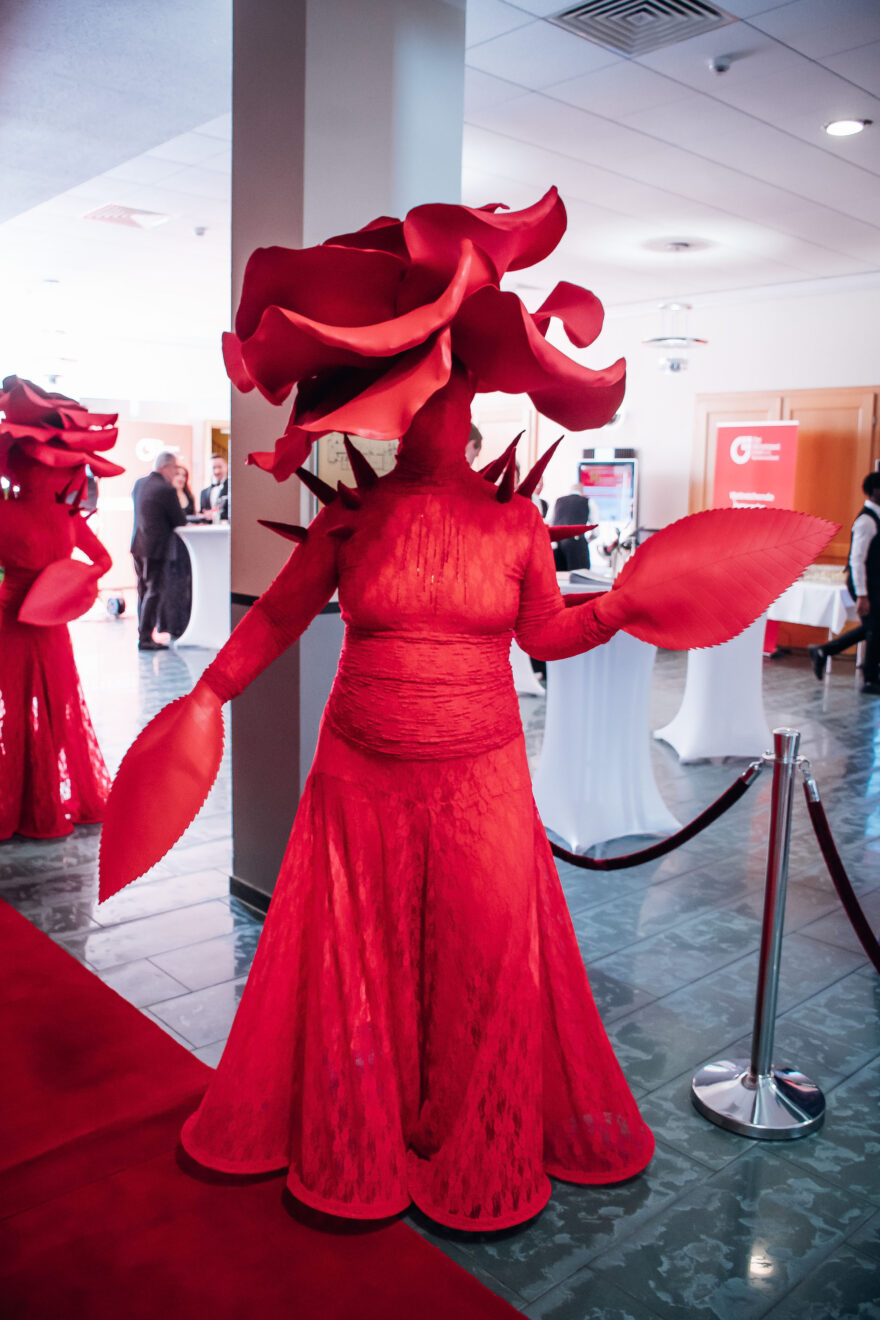 Blitzlichtgewitter Fotografie DSC 5582