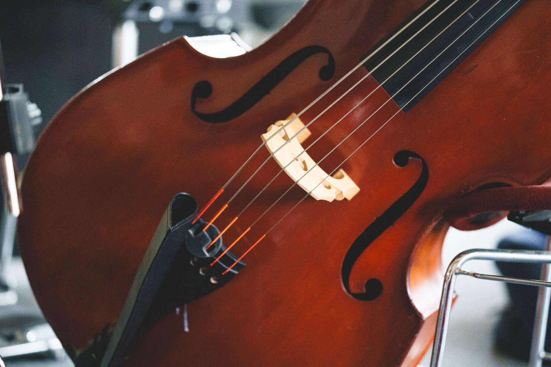 Von Musen und Machern Reduziert 147