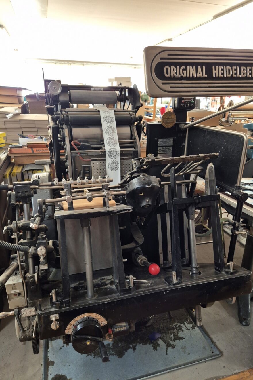 20250403 172938 resized